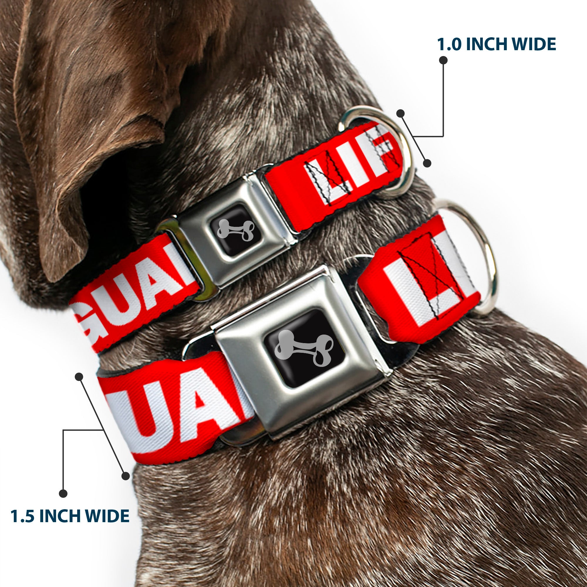 Dog Bone Seatbelt Buckle Collar - LIFEGUARD/Logo Red/White Seatbelt Buckle Collars Buckle-Down
