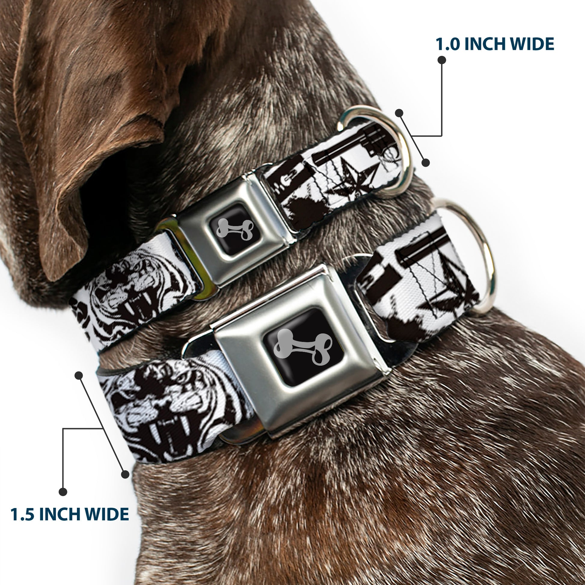 Dog Bone Seatbelt Buckle Collar - Madness White/Black Seatbelt Buckle Collars Buckle-Down