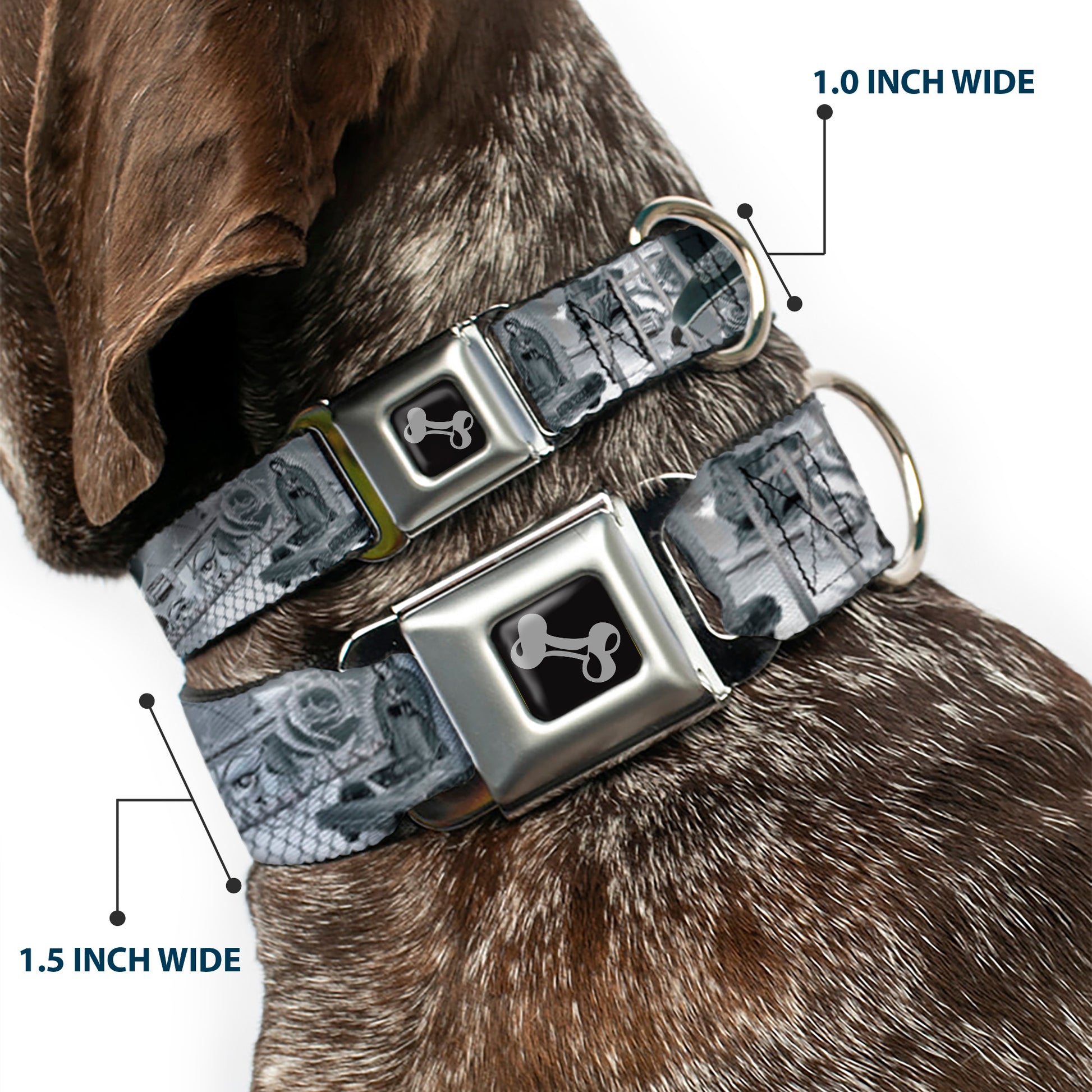 Dog Bone Seatbelt Buckle Collar - Mi Vida Loca Seatbelt Buckle Collars Buckle-Down