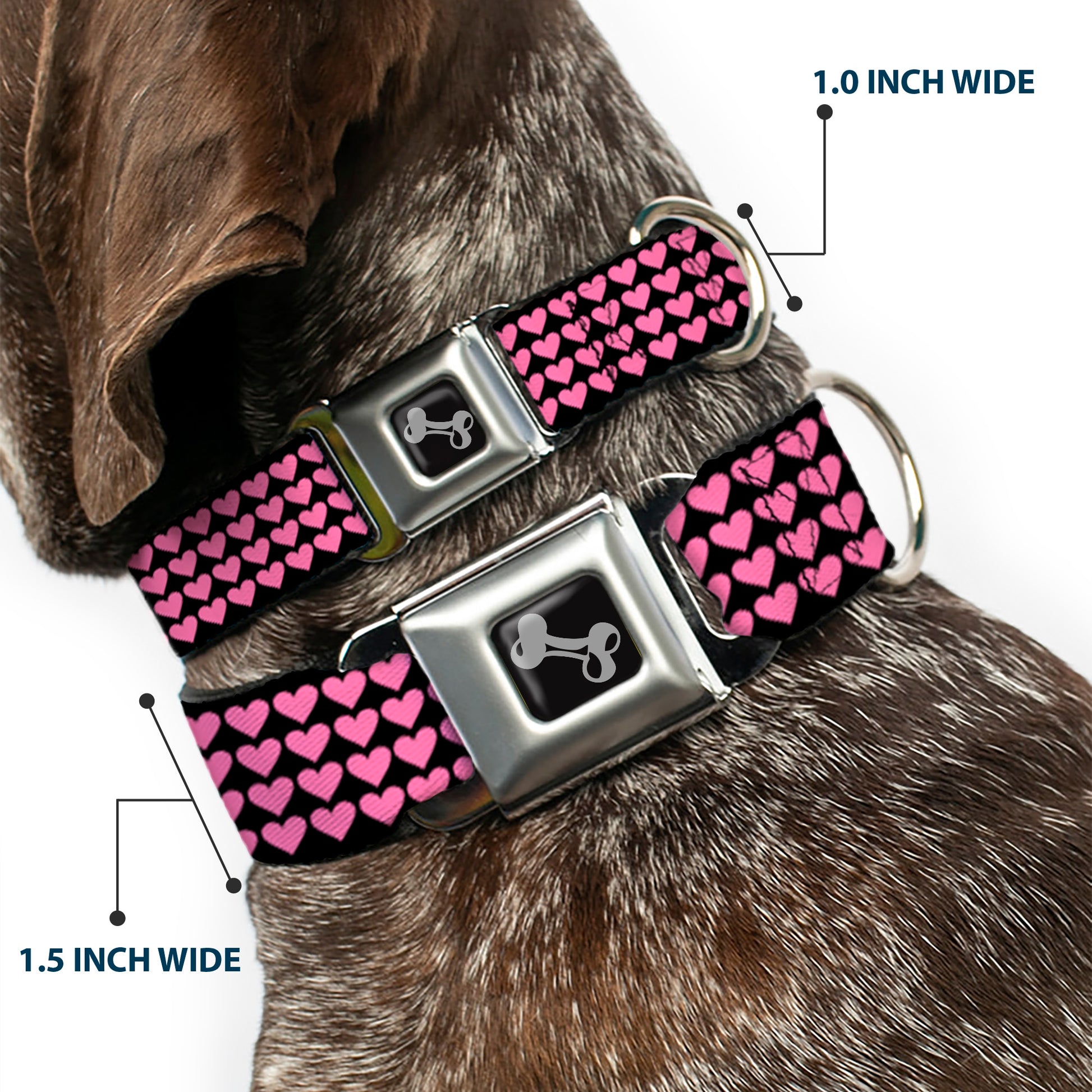Dog Bone Seatbelt Buckle Collar - Mini Hearts Black/Pink Seatbelt Buckle Collars Buckle-Down