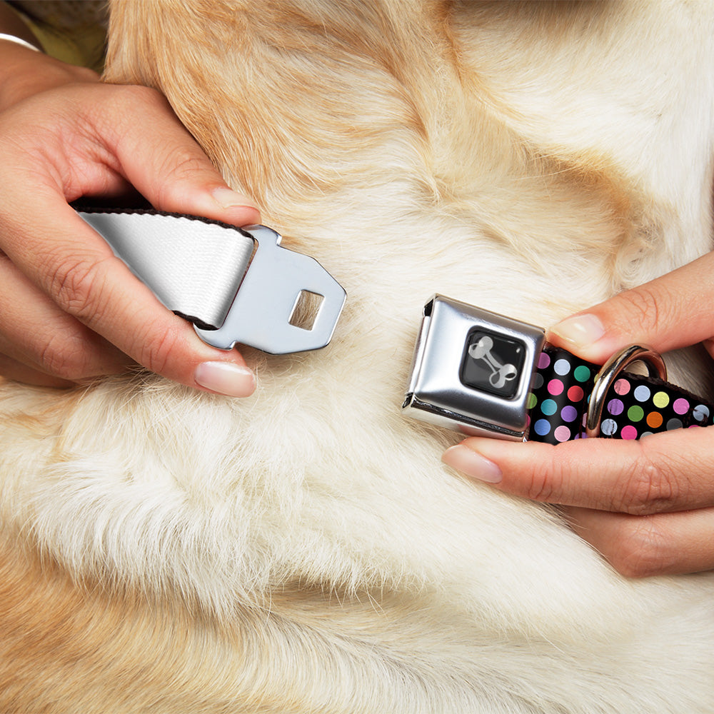 Dog Bone Seatbelt Buckle Collar - Mini Polka Dots Black/Multi Color Seatbelt Buckle Collars Buckle-Down