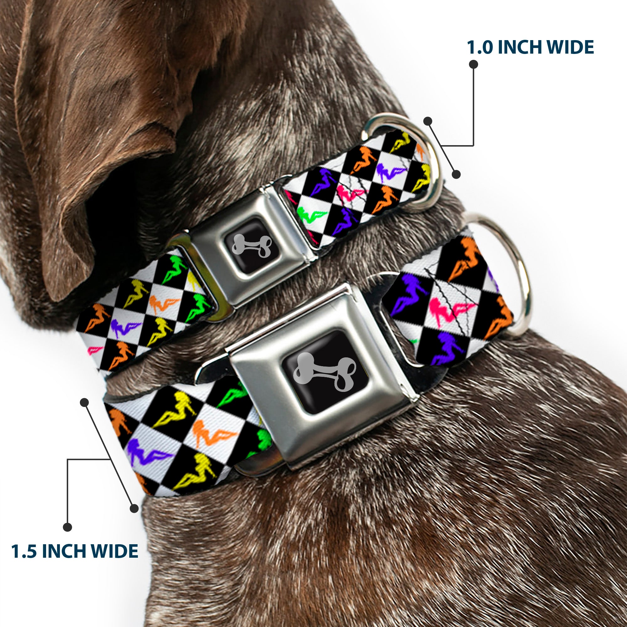 Dog Bone Seatbelt Buckle Collar - Mud Flap Girl Diamonds Black/White/Multi Neon Seatbelt Buckle Collars Buckle-Down