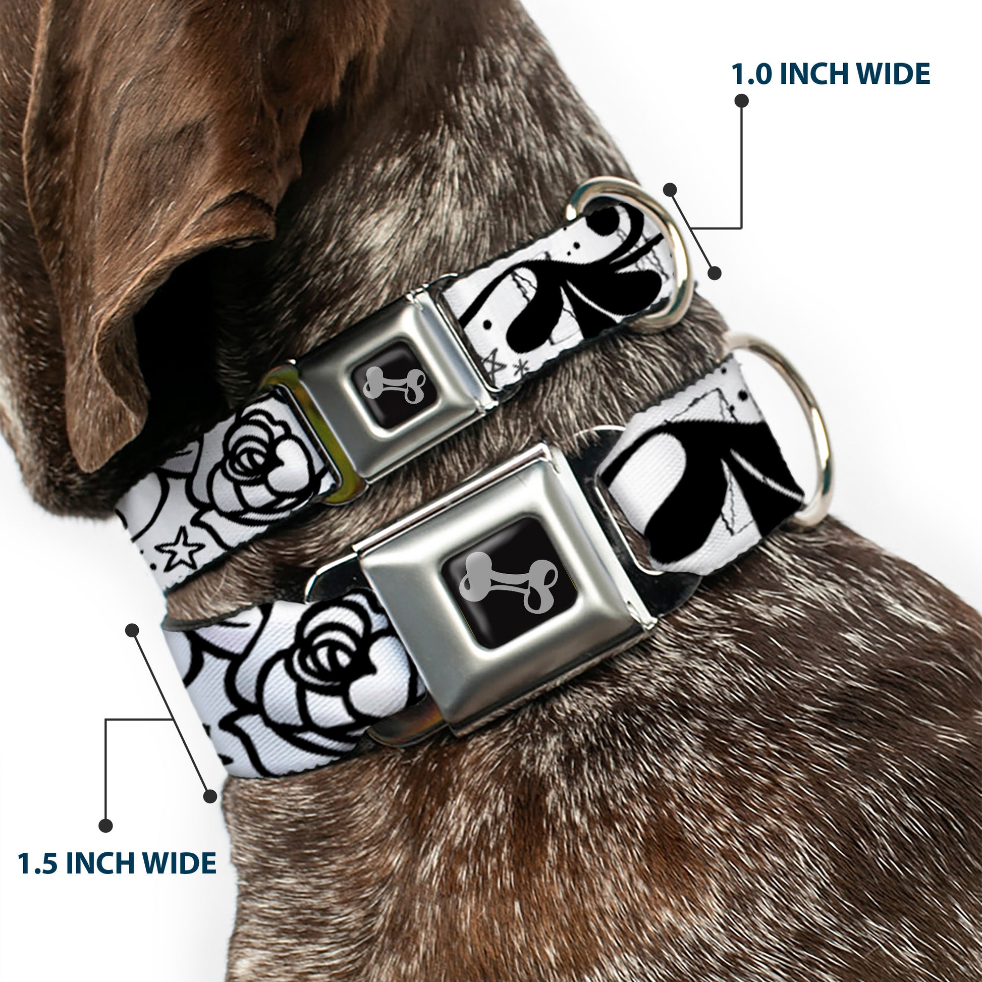 Dog Bone Seatbelt Buckle Collar - Mom & Dad Black/White Seatbelt Buckle Collars Buckle-Down