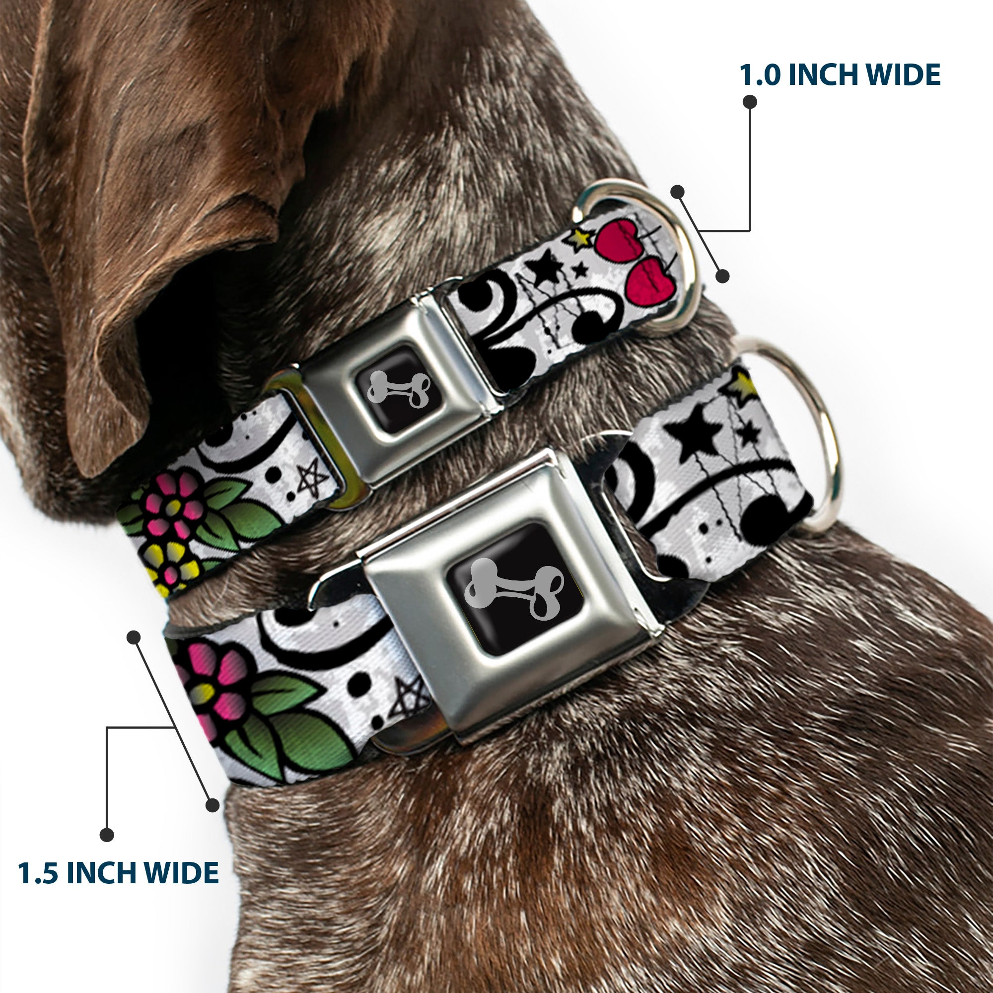 Dog Bone Seatbelt Buckle Collar - Mom & Dad CLOSE-UP White Seatbelt Buckle Collars Buckle-Down