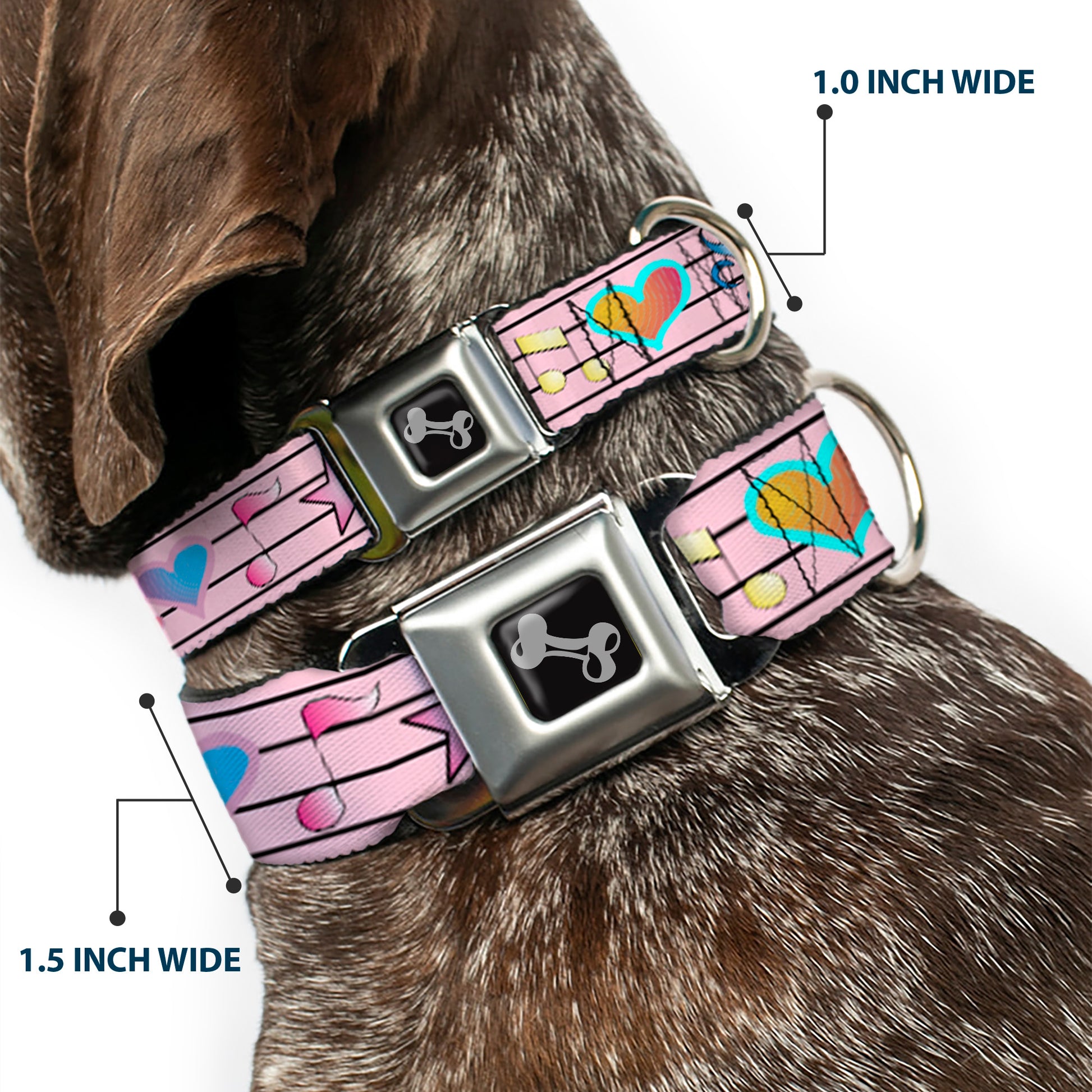 Dog Bone Seatbelt Buckle Collar - Music Notes Pink Seatbelt Buckle Collars Buckle-Down