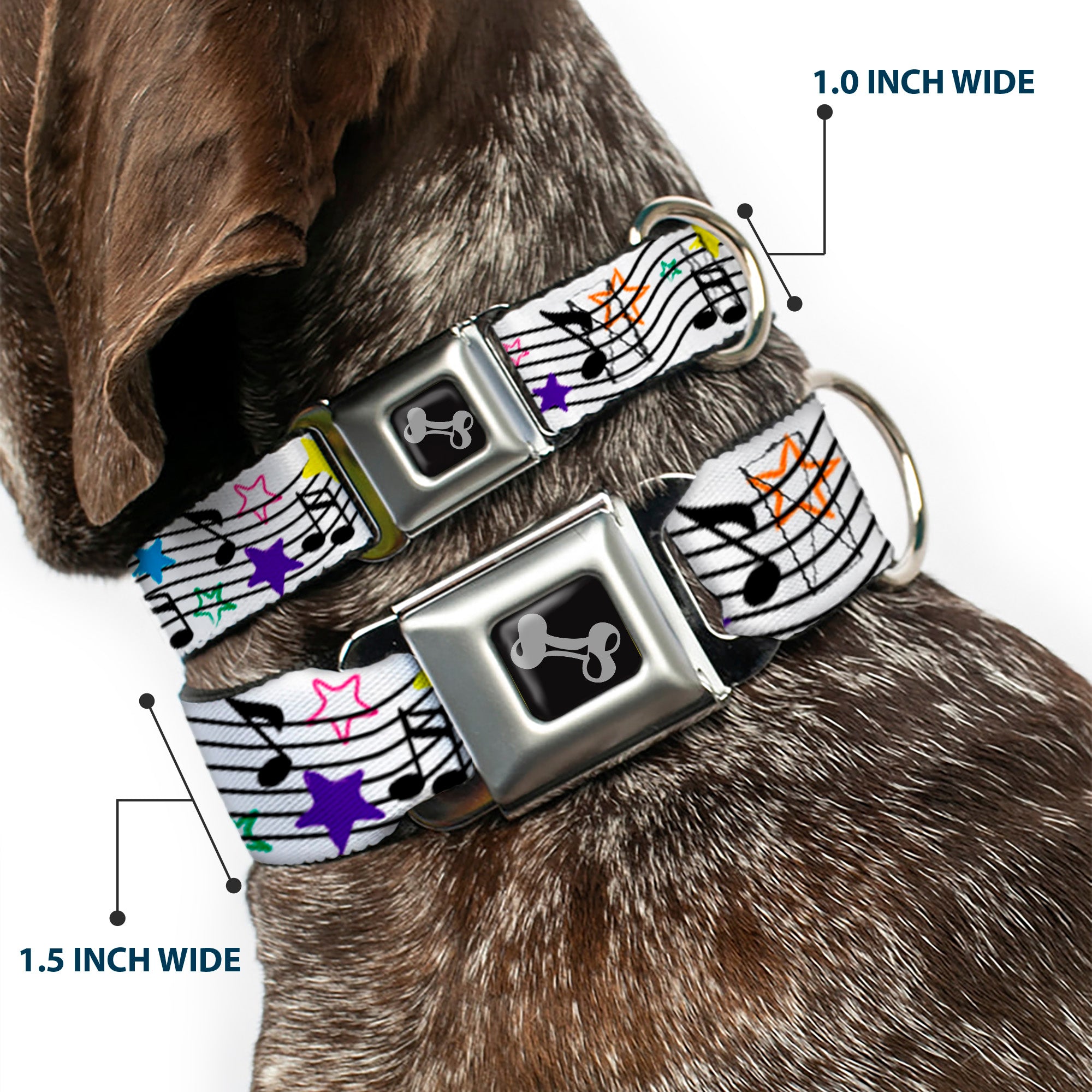 Dog Bone Seatbelt Buckle Collar - Music Notes Stars White/Black/Multi Color Seatbelt Buckle Collars Buckle-Down