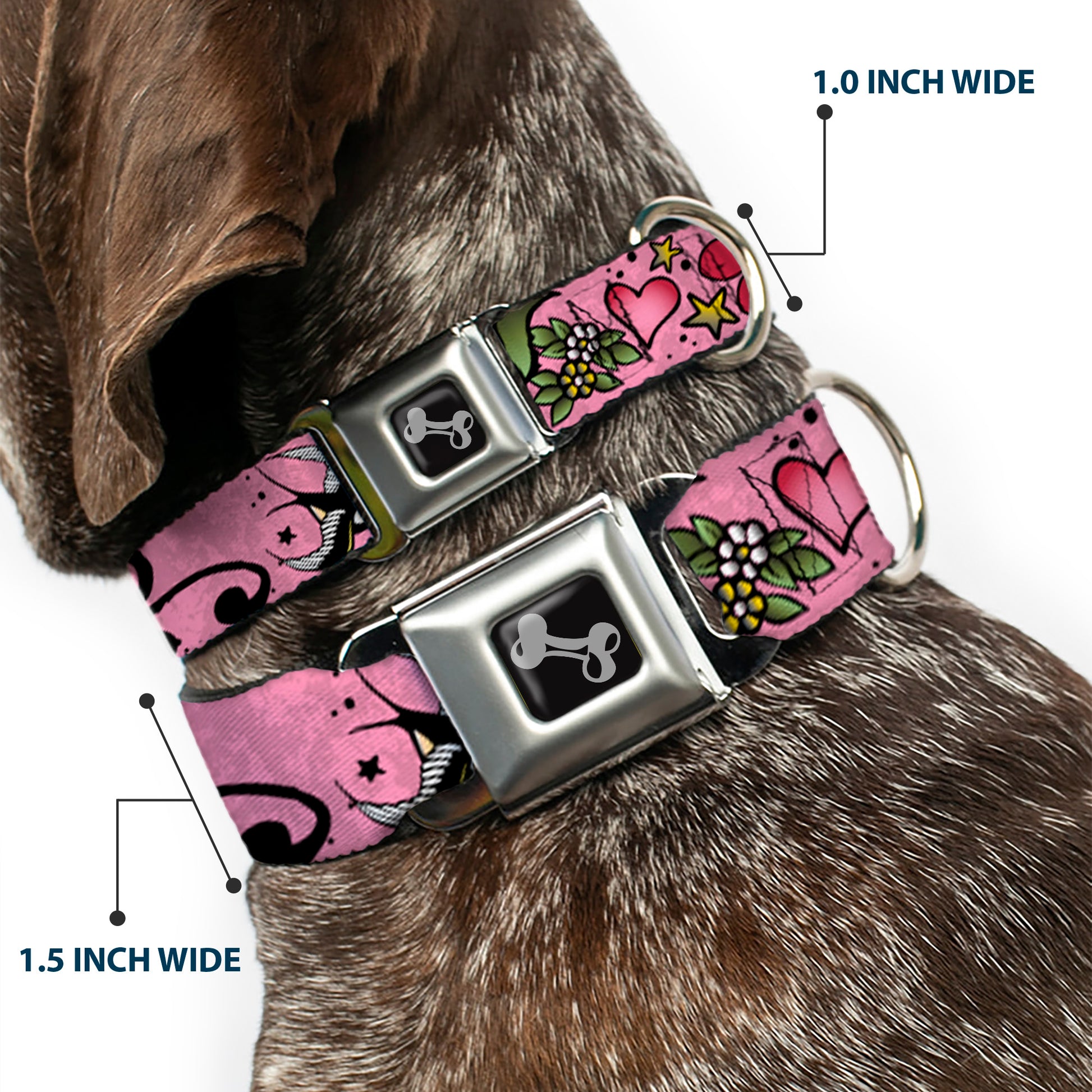 Dog Bone Seatbelt Buckle Collar - Mom & Dad CLOSE-UP Pink w/Sparrows Seatbelt Buckle Collars Buckle-Down