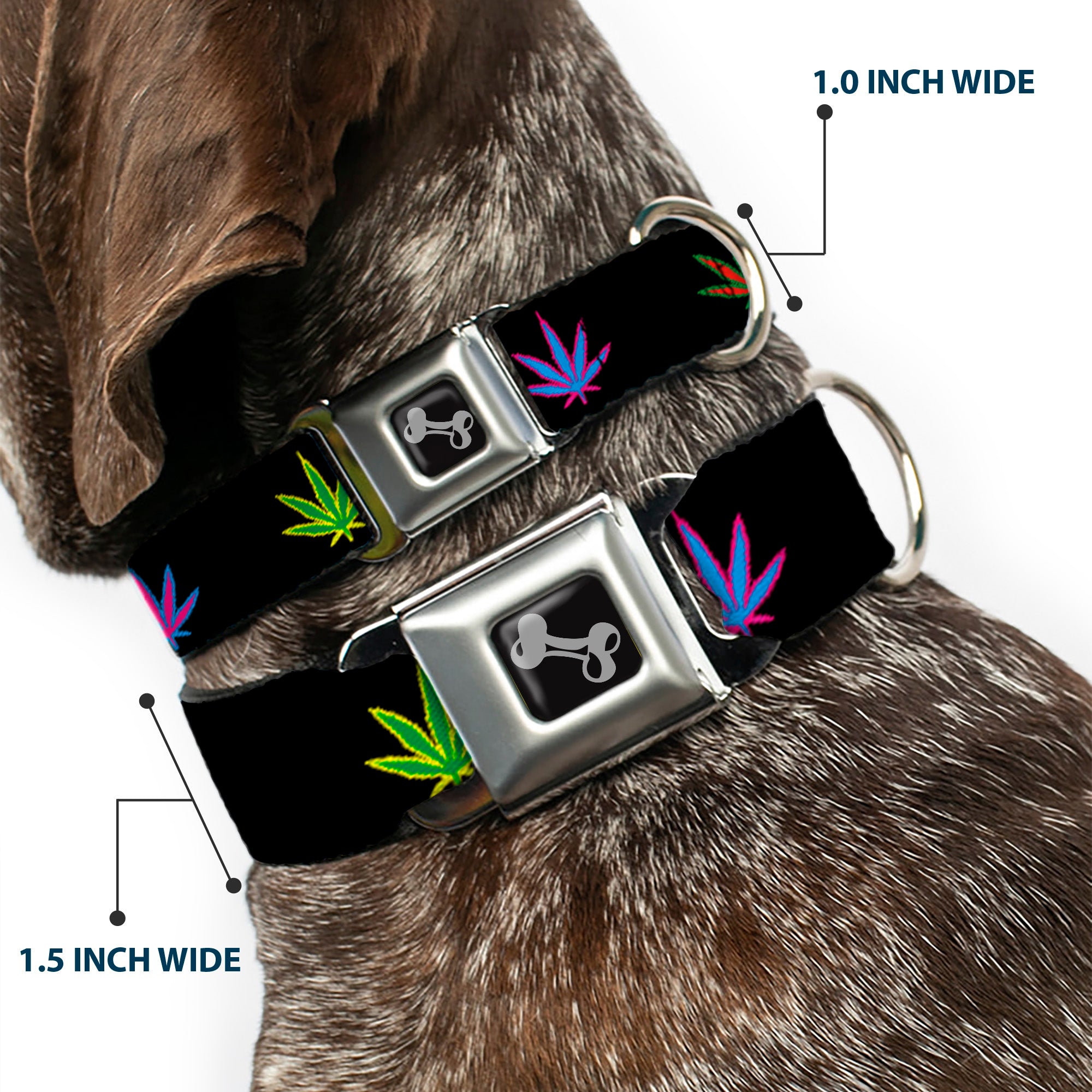 Buckle-Down Seatbelt Buckle Dog Collar - Marijuana Leaf Repeat Black/Multi Color Seatbelt Buckle Collars Buckle-Down