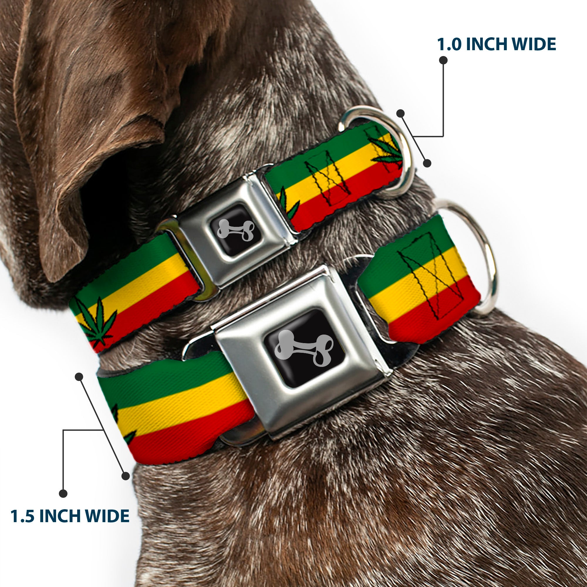 Buckle-Down Seatbelt Buckle Dog Collar - Marijuana Leaf Repeat Rasta Seatbelt Buckle Collars Buckle-Down