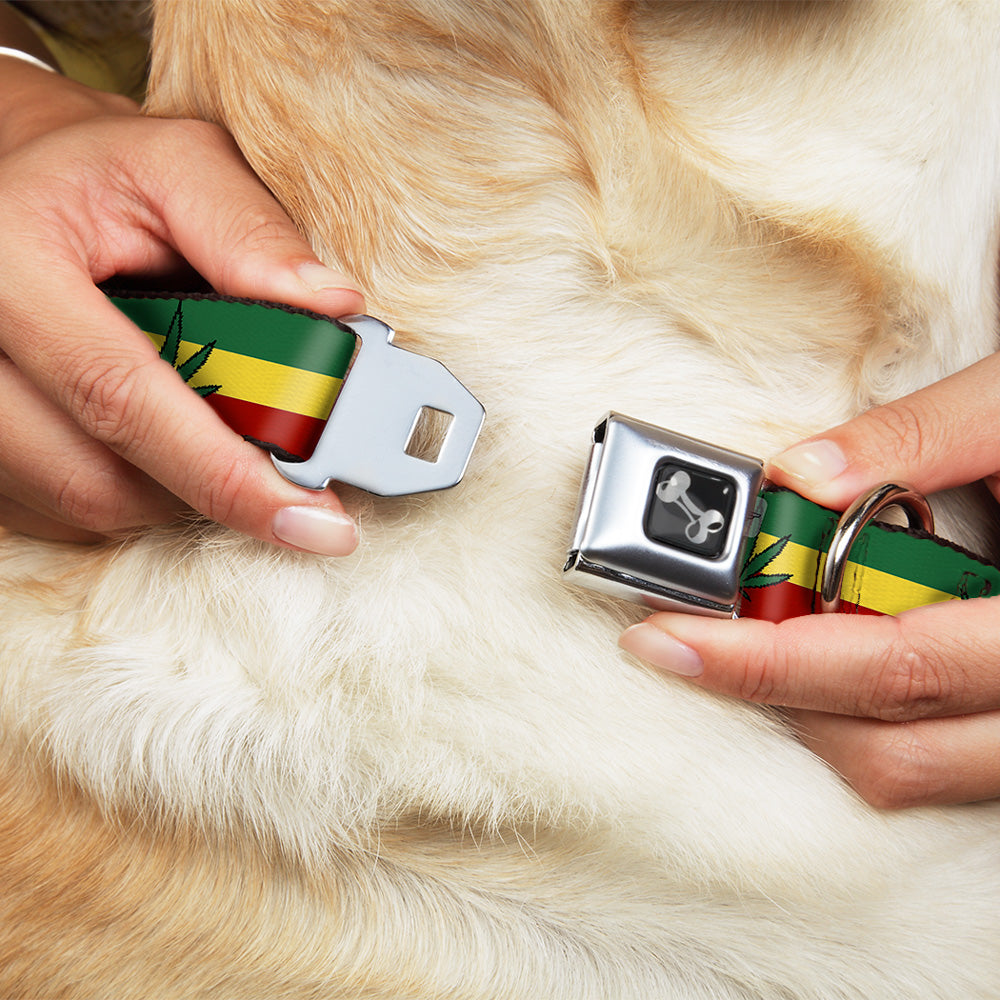 Buckle-Down Seatbelt Buckle Dog Collar - Marijuana Leaf Repeat Rasta Seatbelt Buckle Collars Buckle-Down
