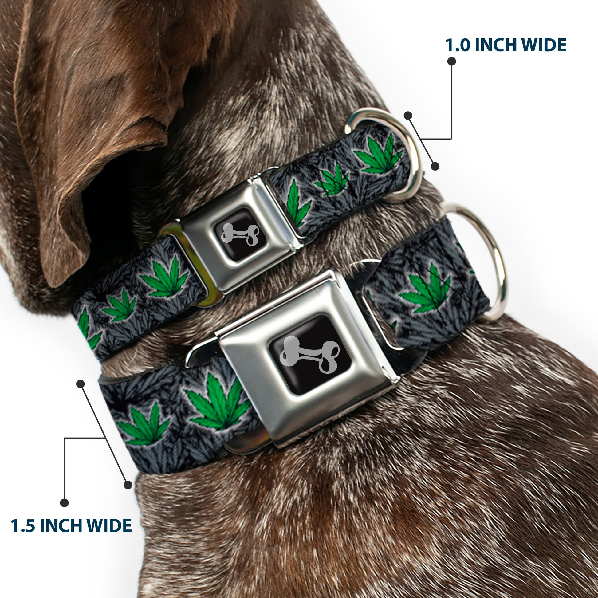 Buckle-Down Seatbelt Buckle Dog Collar - Marijuana Haze Black Seatbelt Buckle Collars Buckle-Down