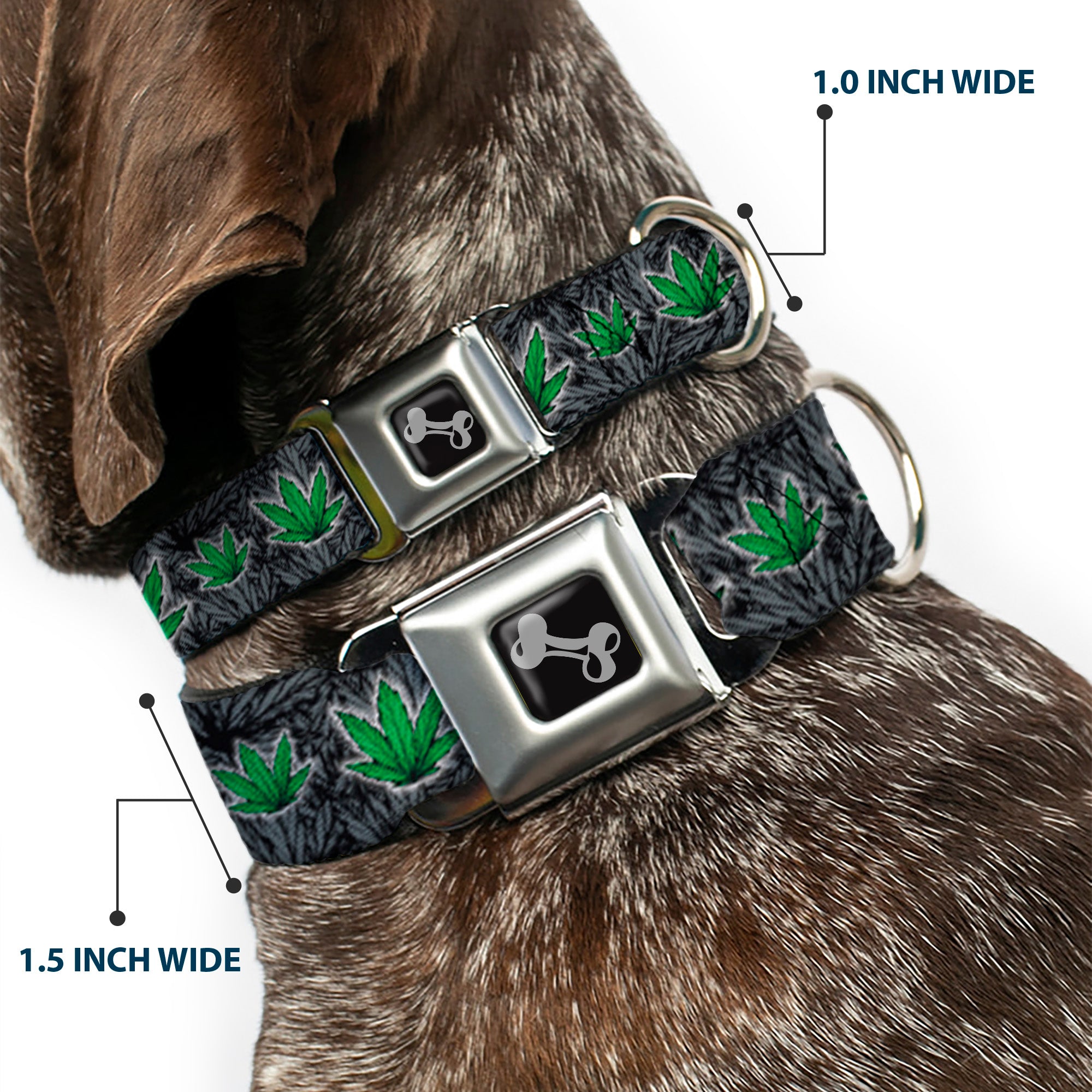 Buckle-Down Seatbelt Buckle Dog Collar - Marijuana Haze Black Seatbelt Buckle Collars Buckle-Down