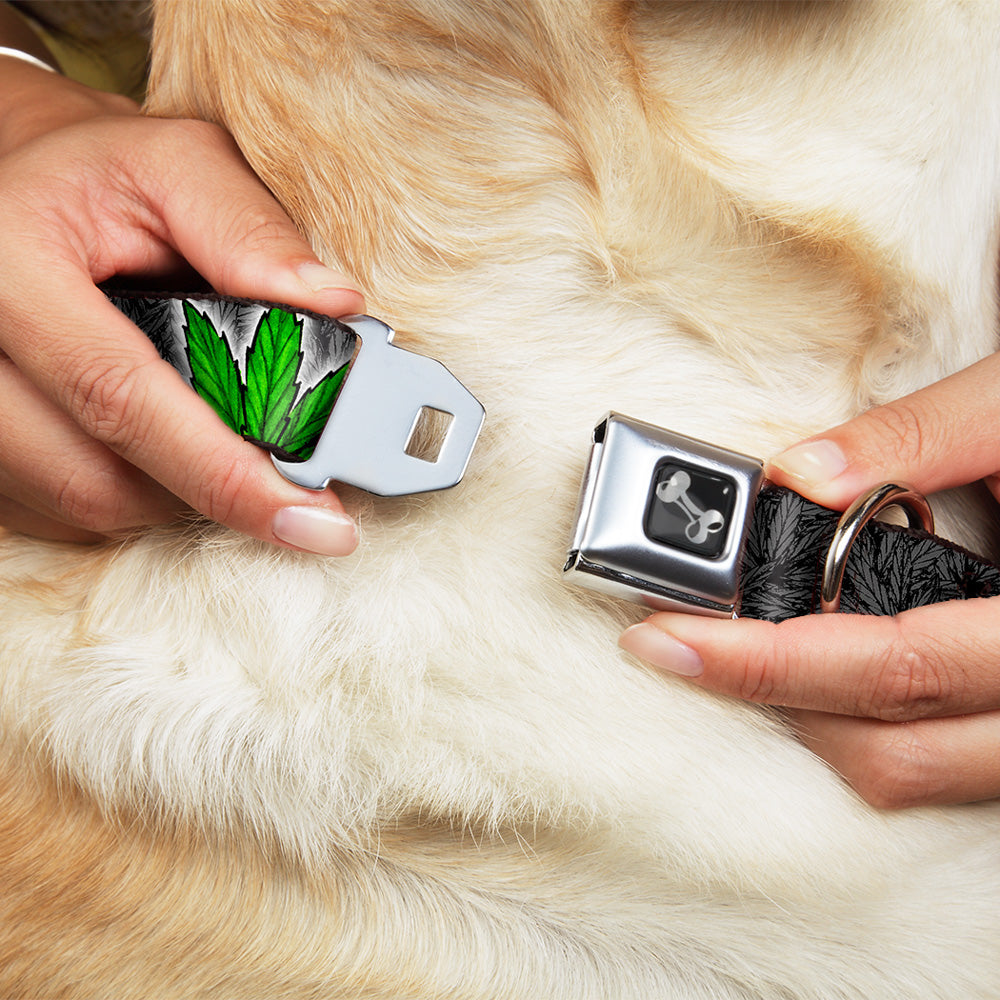 Buckle-Down Seatbelt Buckle Dog Collar - Marijuana Haze Black Seatbelt Buckle Collars Buckle-Down