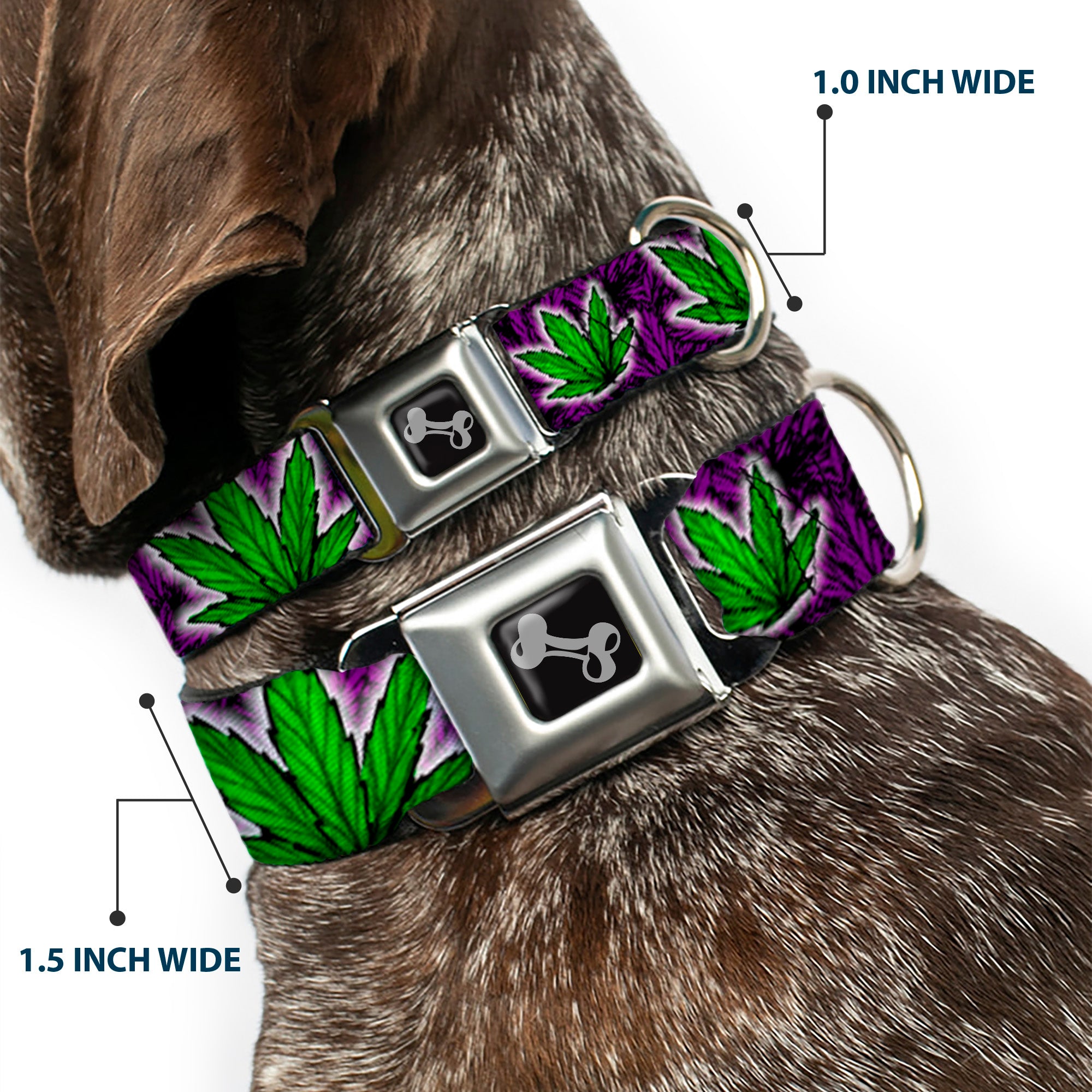 Buckle-Down Seatbelt Buckle Dog Collar - Marijuana Haze Purple Seatbelt Buckle Collars Buckle-Down