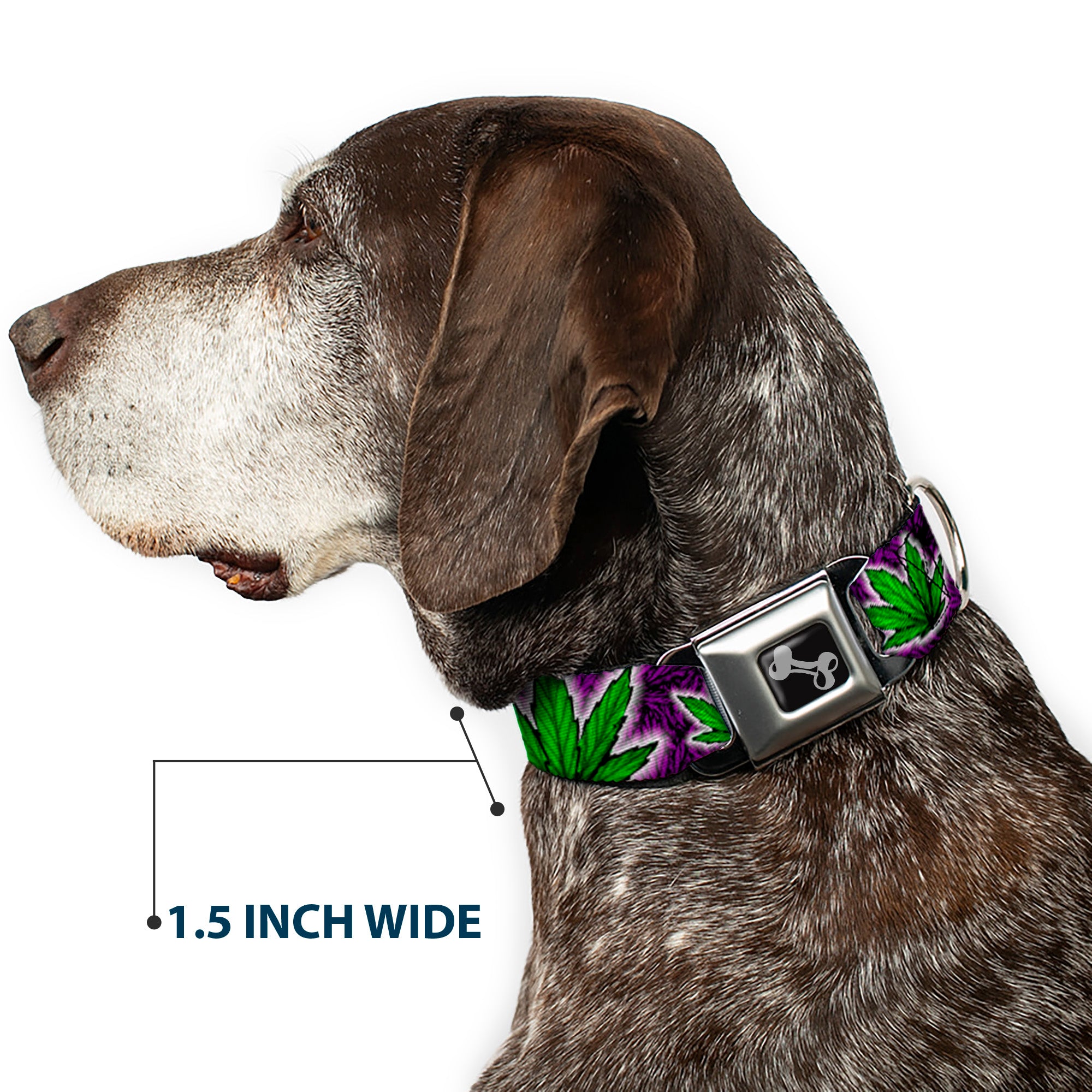 Buckle-Down Seatbelt Buckle Dog Collar - Marijuana Haze Purple Seatbelt Buckle Collars Buckle-Down