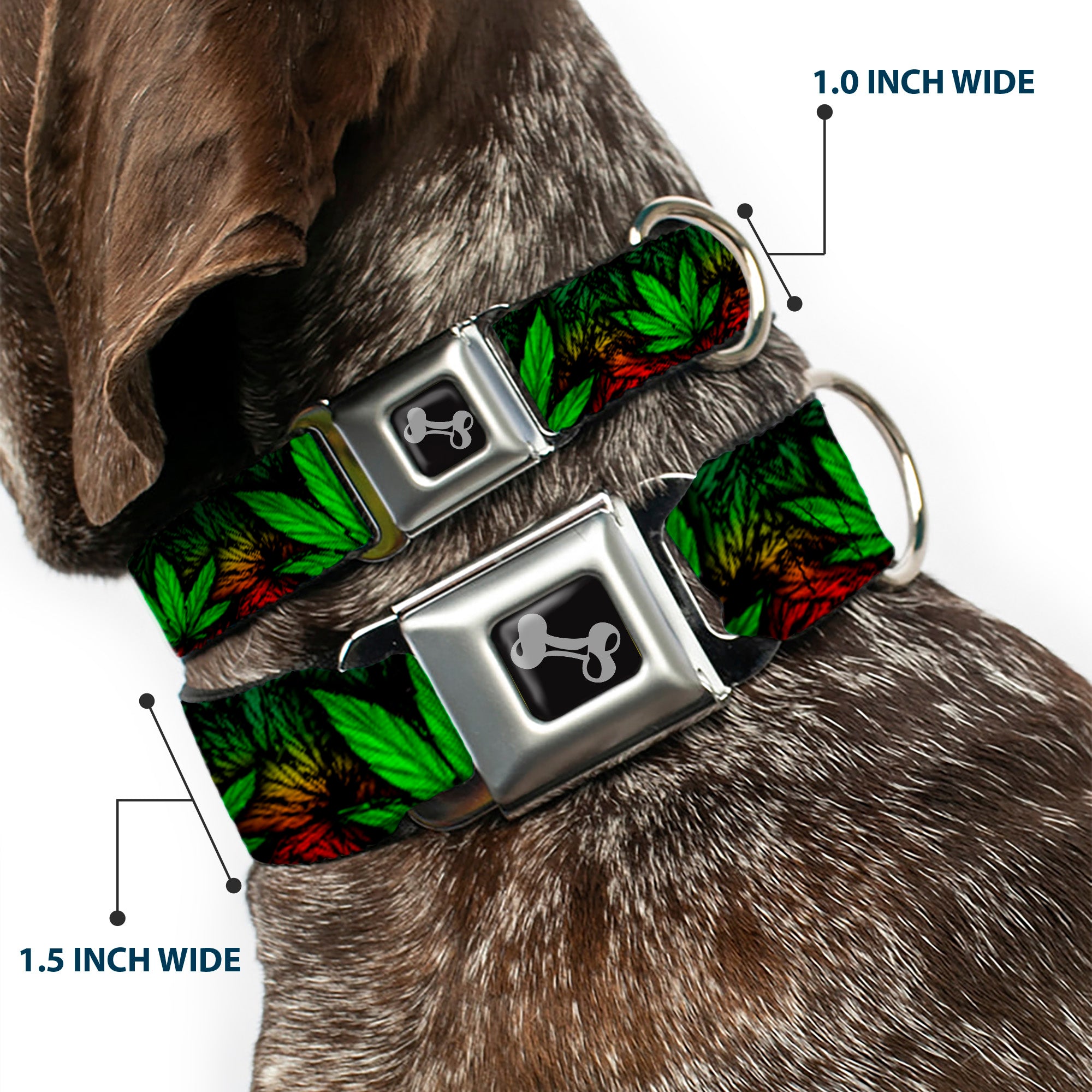 Buckle-Down Seatbelt Buckle Dog Collar - Marijuana Haze Rasta/Black Seatbelt Buckle Collars Buckle-Down