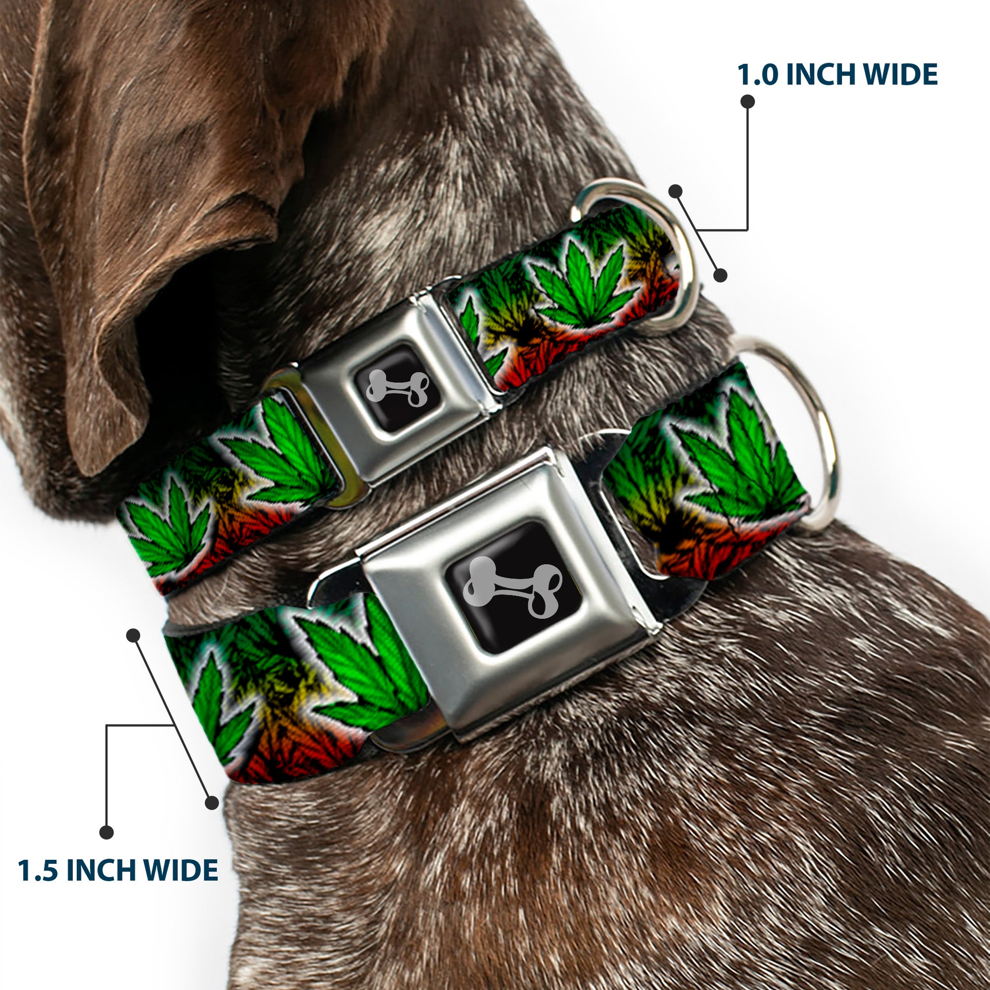 Buckle-Down Seatbelt Buckle Dog Collar - Marijuana Haze Rasta/White Seatbelt Buckle Collars Buckle-Down