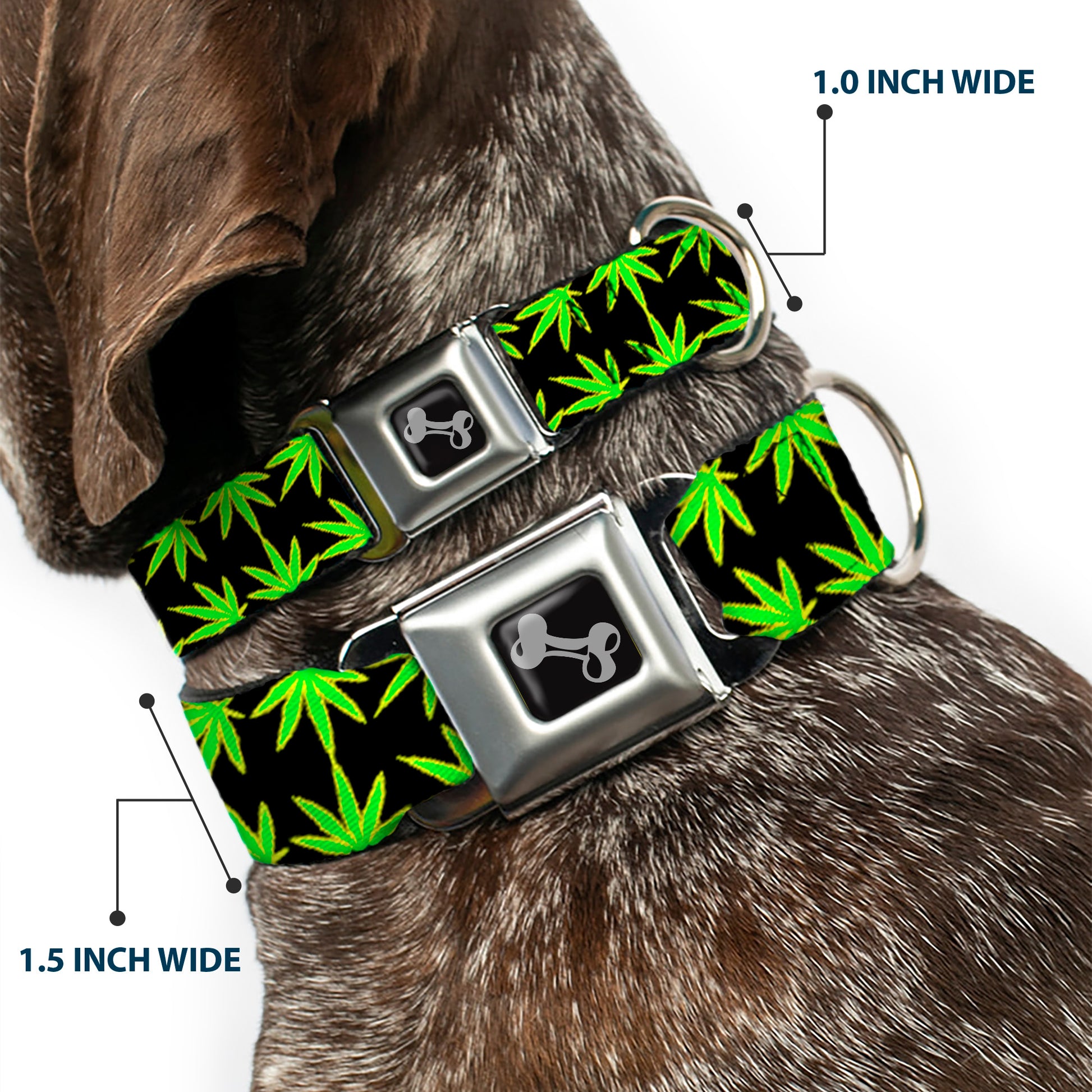 Buckle-Down Seatbelt Buckle Dog Collar - Marijuana Reflection Black/Yellow/Green Seatbelt Buckle Collars Buckle-Down