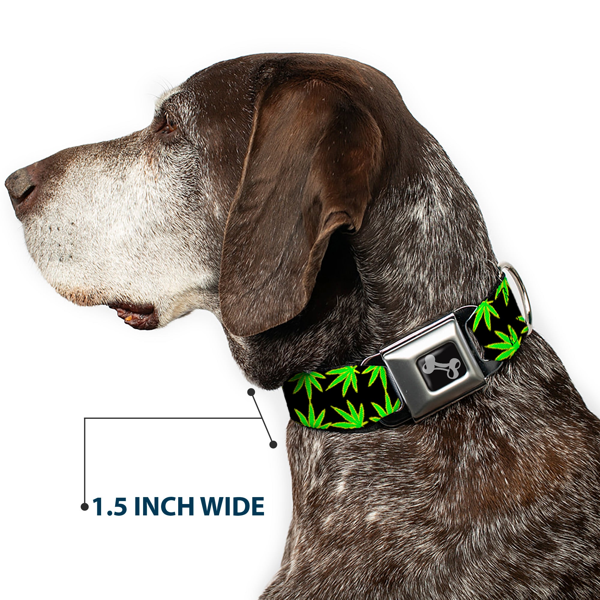 Buckle-Down Seatbelt Buckle Dog Collar - Marijuana Reflection Black/Yellow/Green Seatbelt Buckle Collars Buckle-Down