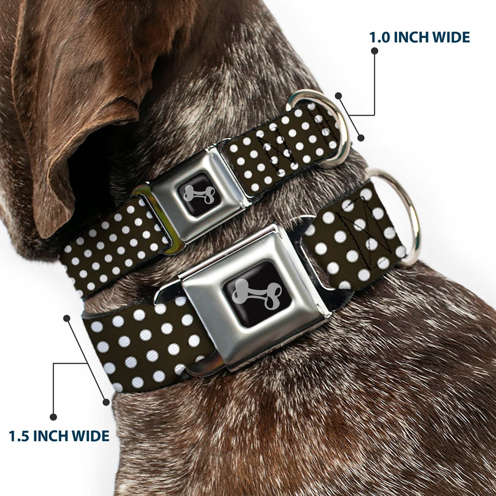 Dog Bone Seatbelt Buckle Collar - Micro Polka Dots Black/White Seatbelt Buckle Collars Buckle-Down