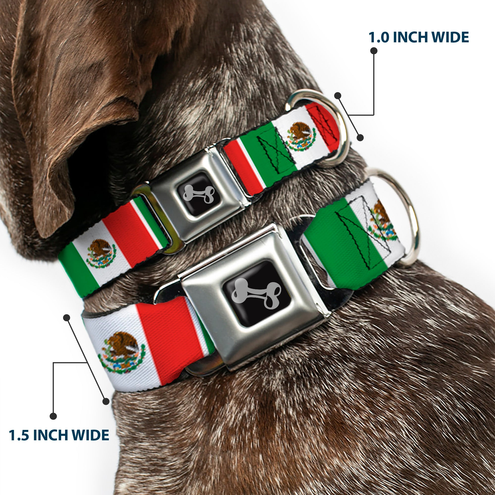 Dog Bone Seatbelt Buckle Collar - Mexico Flags Seatbelt Buckle Collars Buckle-Down