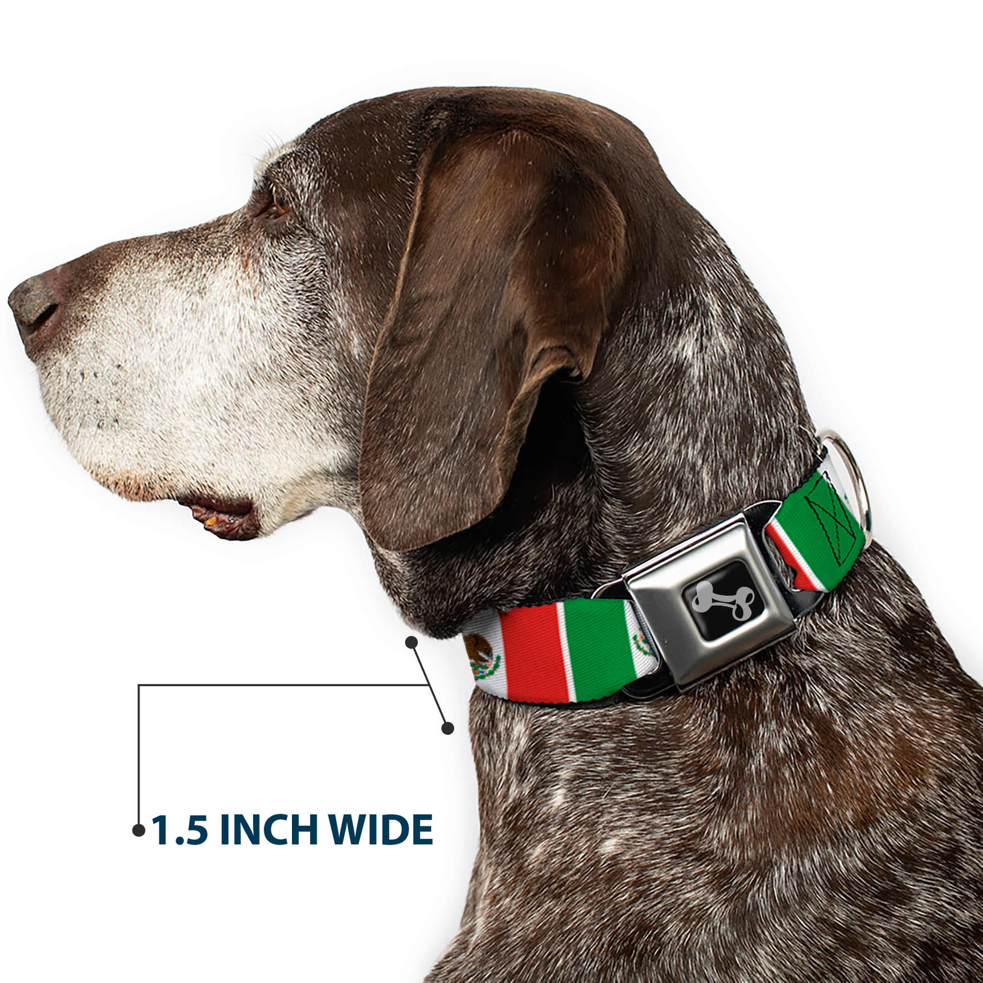 Dog Bone Seatbelt Buckle Collar - Mexico Flags Seatbelt Buckle Collars Buckle-Down