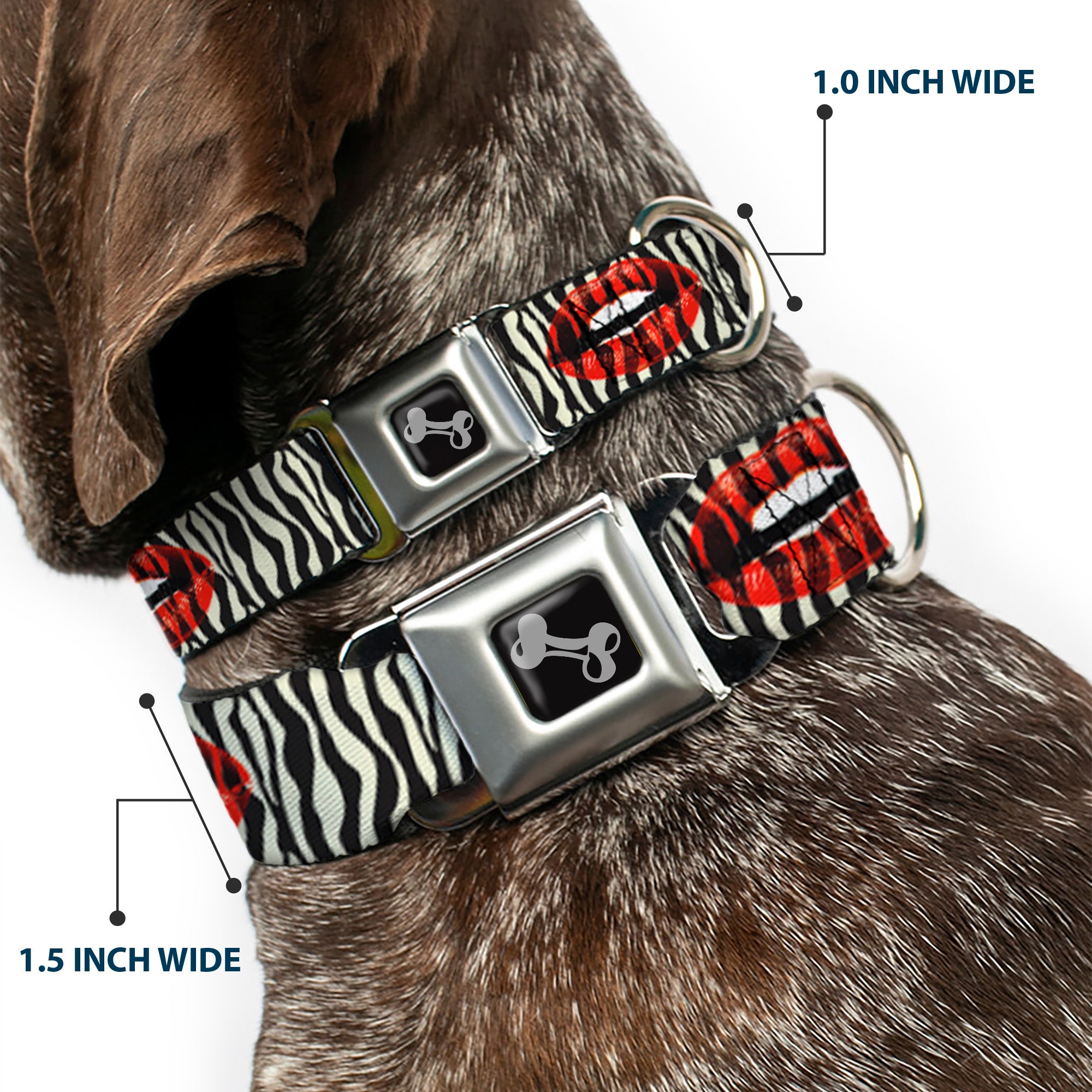 Dog Bone Seatbelt Buckle Collar - Mouth Zebra Seatbelt Buckle Collars Buckle-Down