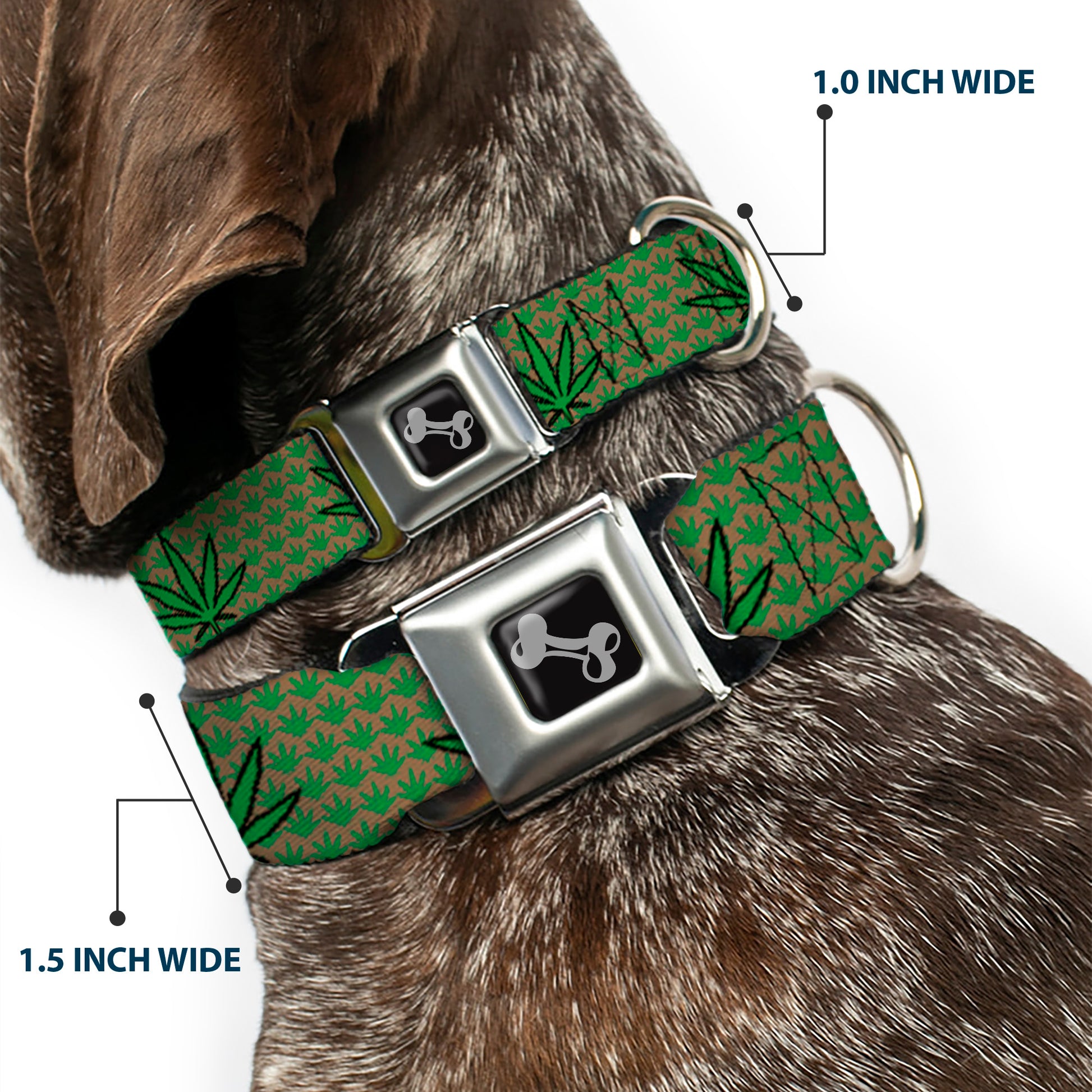 Buckle-Down Seatbelt Buckle Dog Collar - Marijuana Garden Tan/Green Seatbelt Buckle Collars Buckle-Down