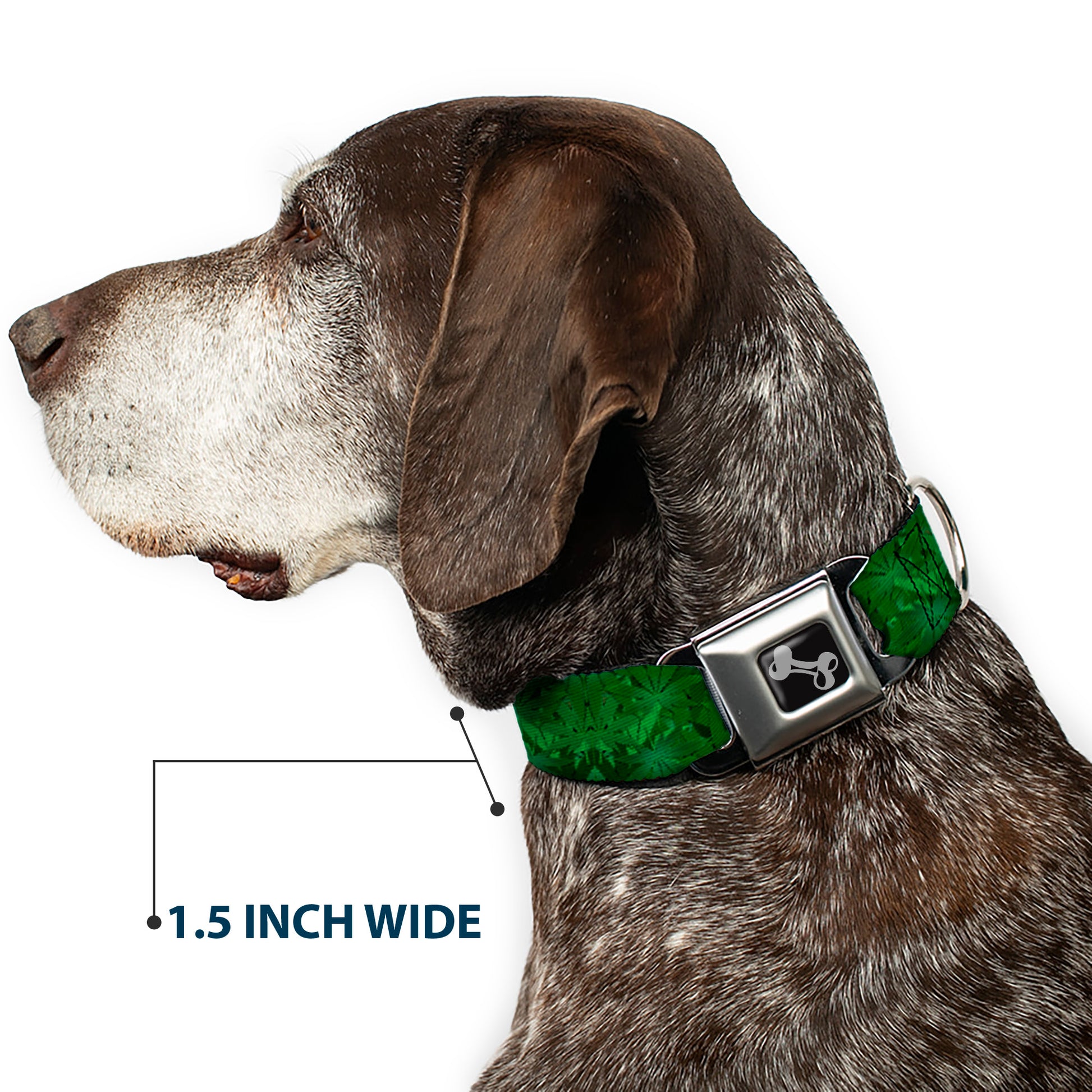 Buckle-Down Seatbelt Buckle Dog Collar - Marijuana Leaves Stacked Seatbelt Buckle Collars Buckle-Down
