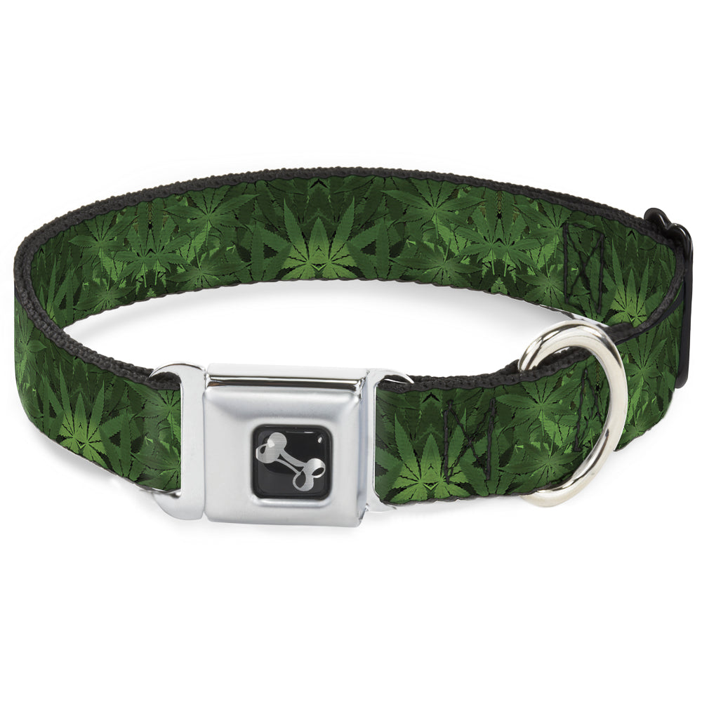 Buckle-Down Seatbelt Buckle Dog Collar - Marijuana Leaves Stacked Seatbelt Buckle Collars Buckle-Down