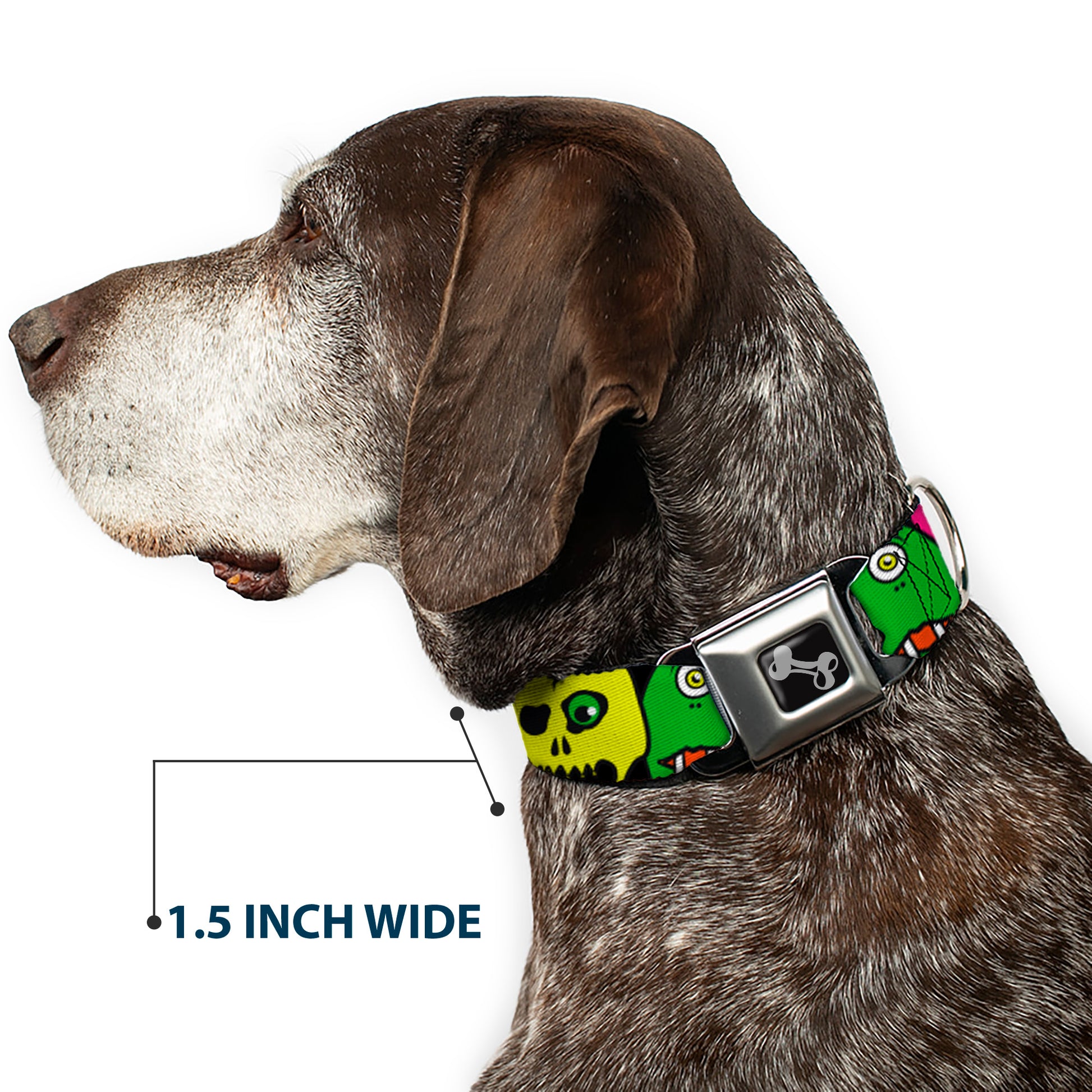 Dog Bone Seatbelt Buckle Collar - Monsters CLOSE-UP Black Seatbelt Buckle Collars Buckle-Down