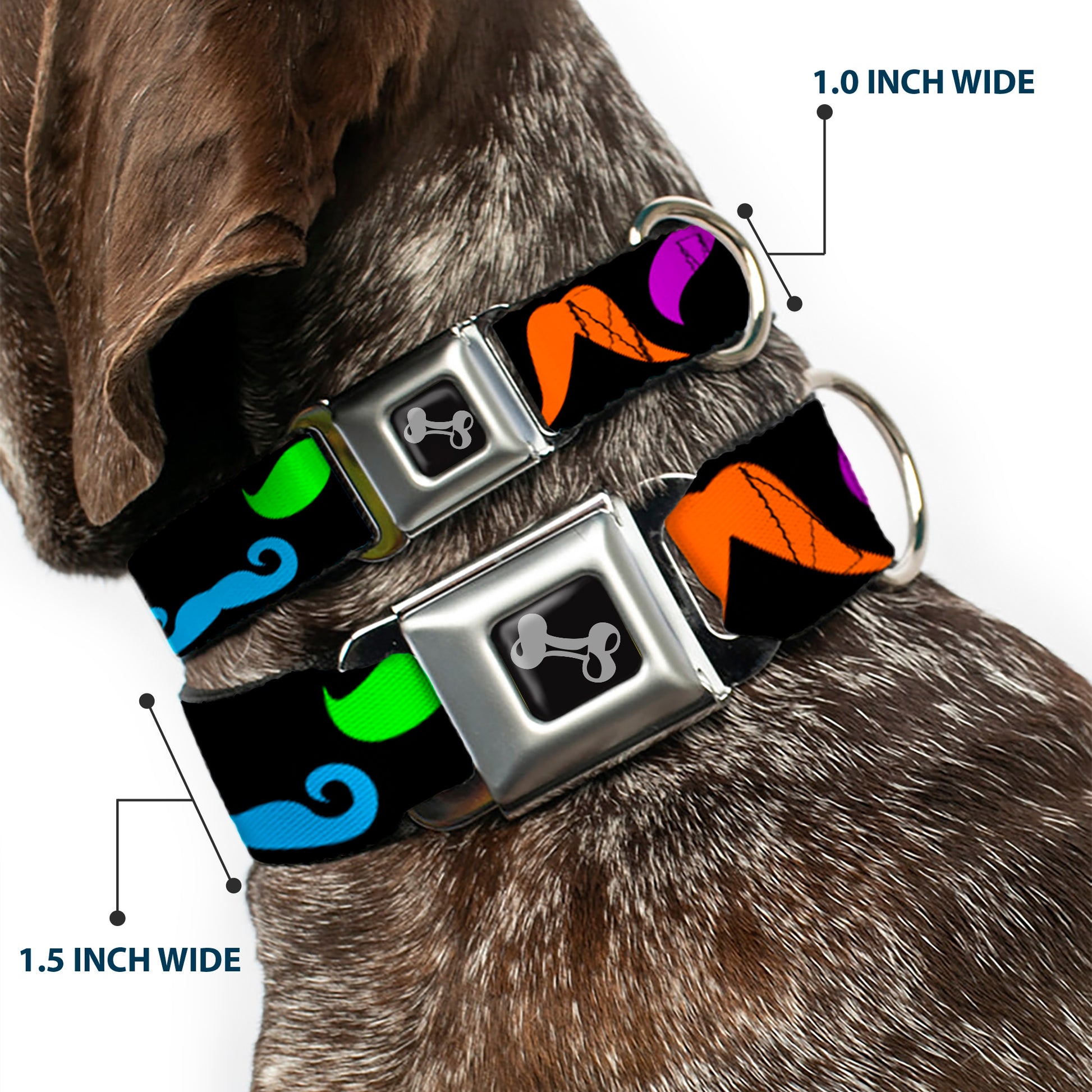 Dog Bone Seatbelt Buckle Collar - Mustaches Black/Multi Color Seatbelt Buckle Collars Buckle-Down