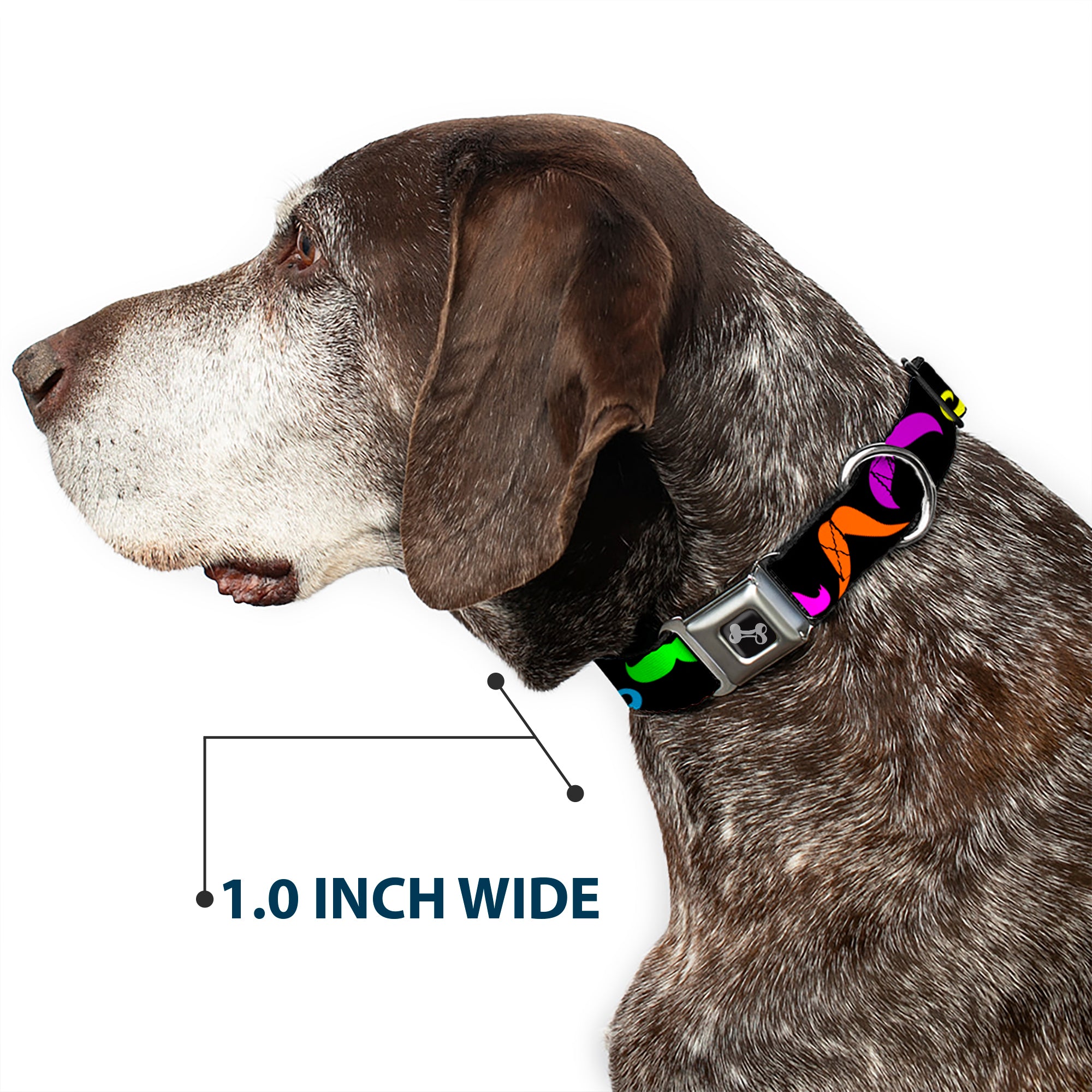 Dog Bone Seatbelt Buckle Collar - Mustaches Black/Multi Color Seatbelt Buckle Collars Buckle-Down