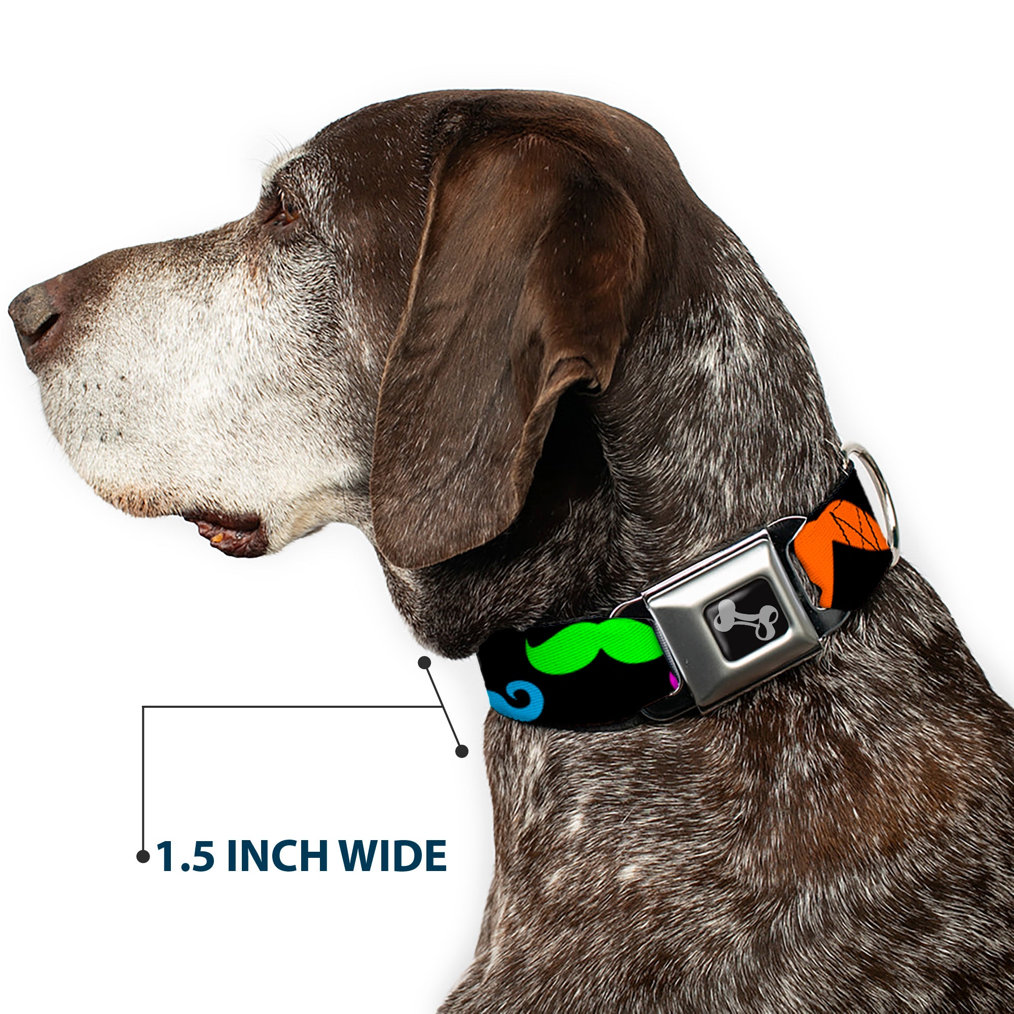 Dog Bone Seatbelt Buckle Collar - Mustaches Black/Multi Color Seatbelt Buckle Collars Buckle-Down