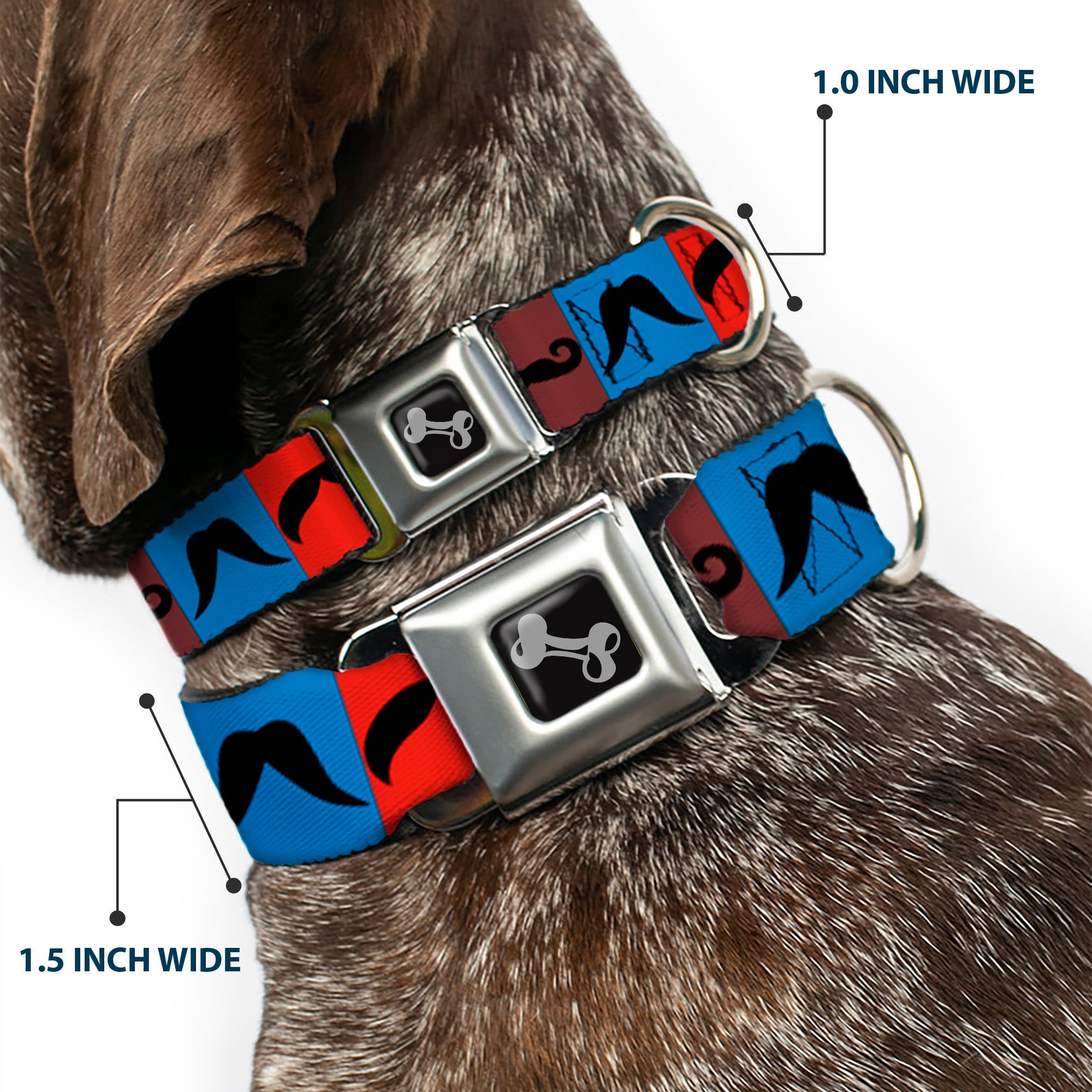 Dog Bone Seatbelt Buckle Collar - Mustaches Multi Color Blocks/Black Seatbelt Buckle Collars Buckle-Down