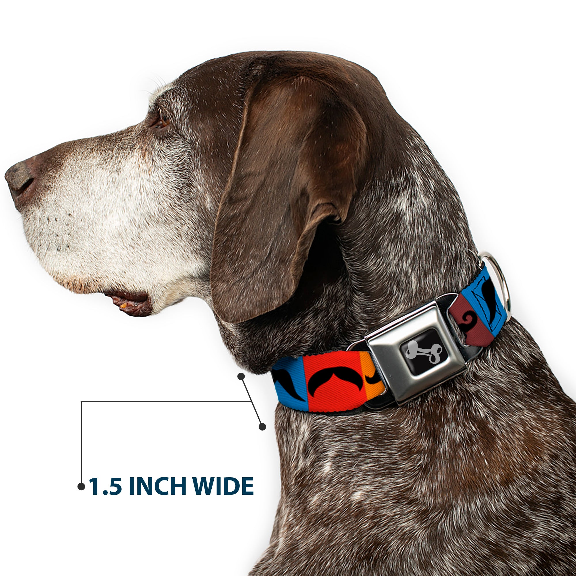 Dog Bone Seatbelt Buckle Collar - Mustaches Multi Color Blocks/Black Seatbelt Buckle Collars Buckle-Down