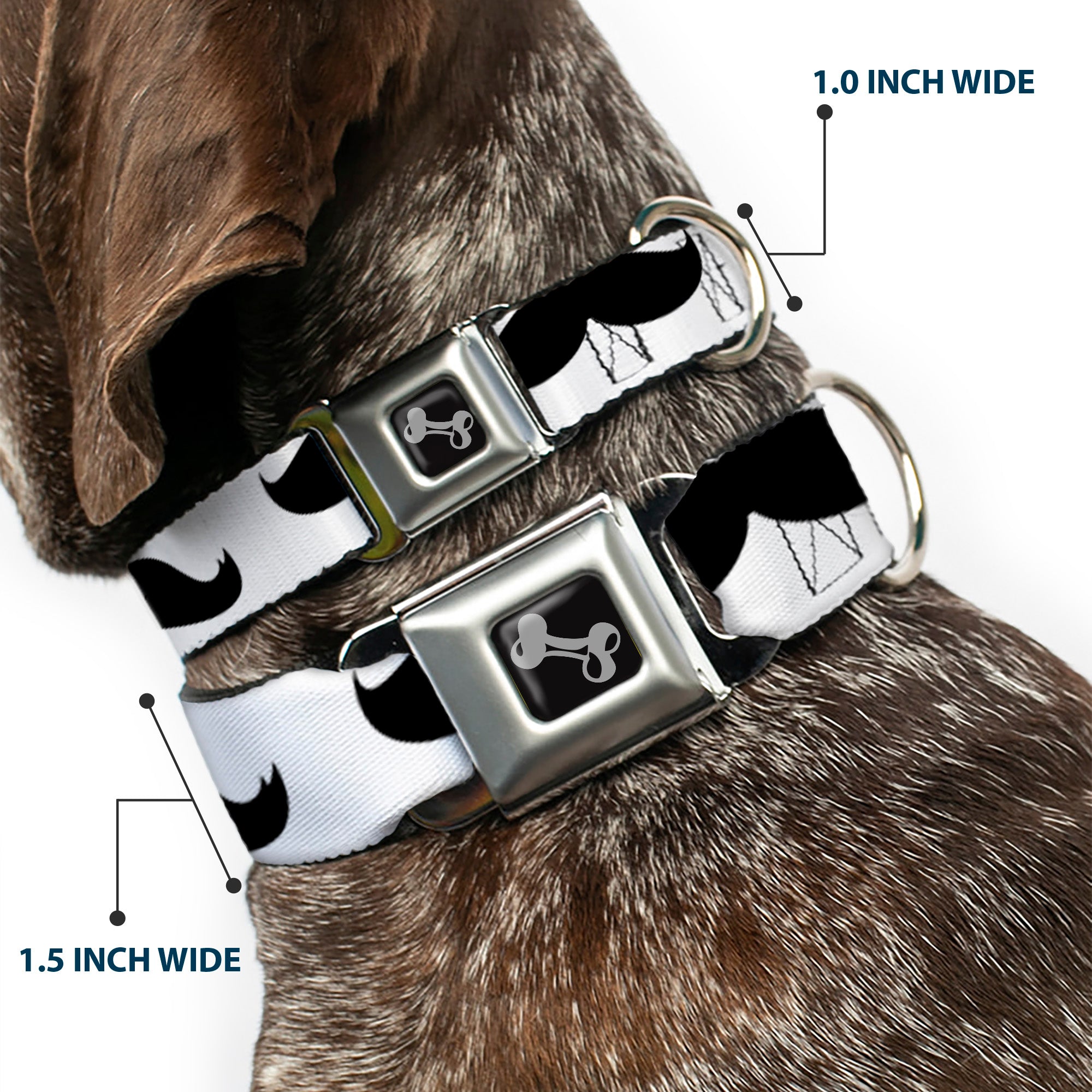 Dog Bone Seatbelt Buckle Collar - Mustaches White/Black Seatbelt Buckle Collars Buckle-Down