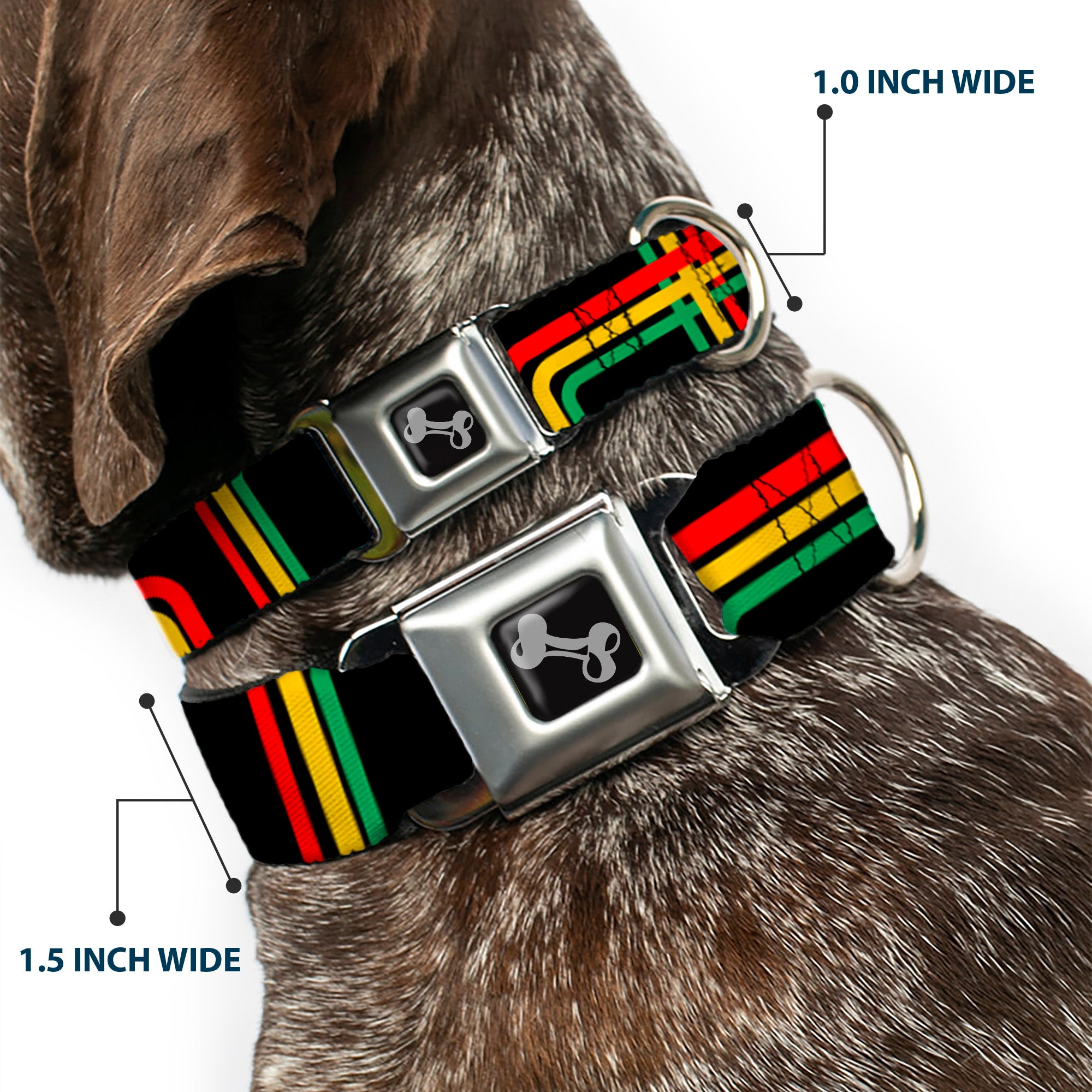 Dog Bone Seatbelt Buckle Collar - Maze Lines Black/Rasta Seatbelt Buckle Collars Buckle-Down