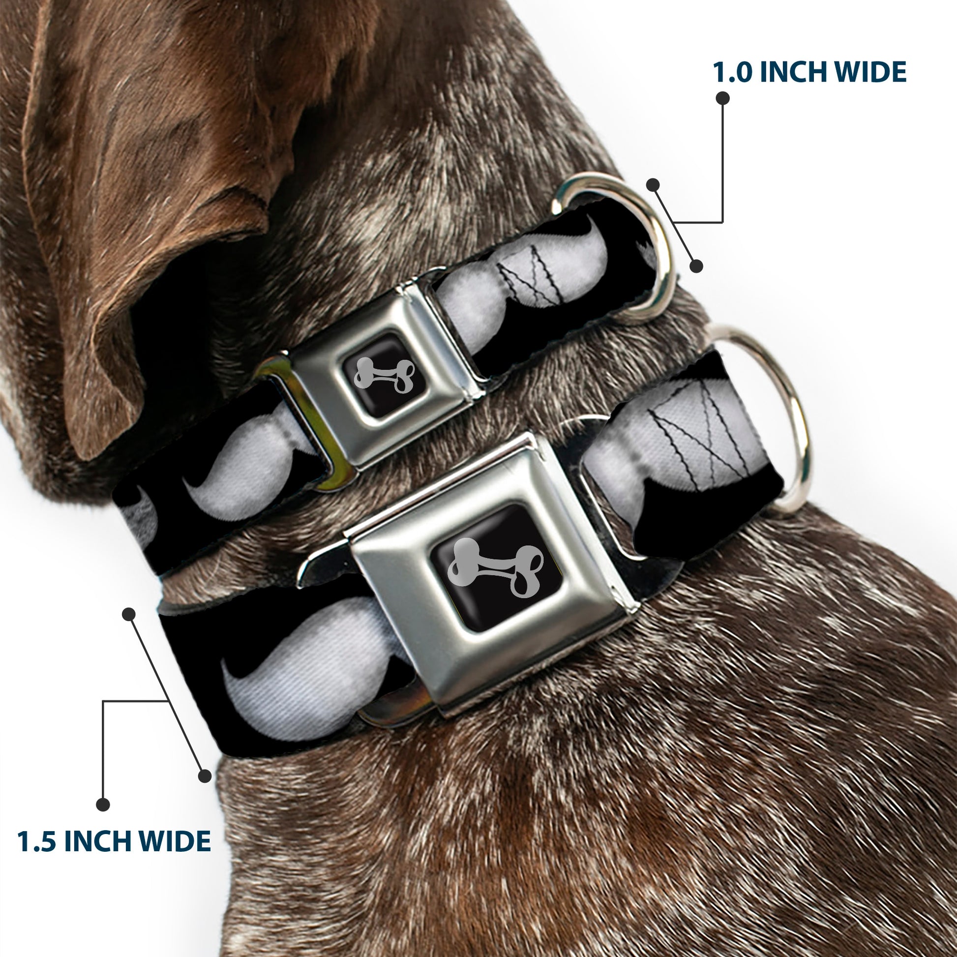 Dog Bone Seatbelt Buckle Collar - Mustaches Black/Sketch Seatbelt Buckle Collars Buckle-Down