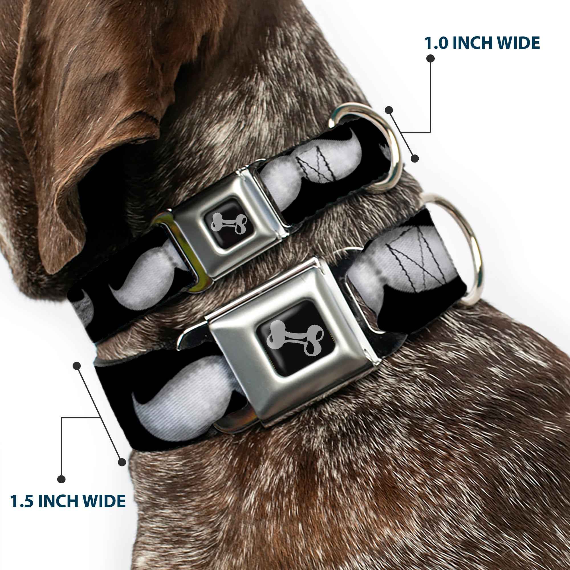 Dog Bone Seatbelt Buckle Collar - Mustaches Black/Sketch Seatbelt Buckle Collars Buckle-Down
