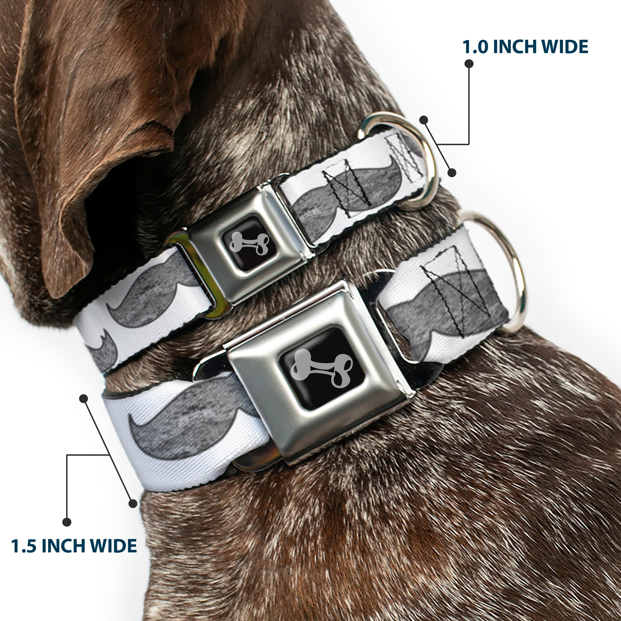 Dog Bone Seatbelt Buckle Collar - Mustaches White/Sketch Seatbelt Buckle Collars Buckle-Down