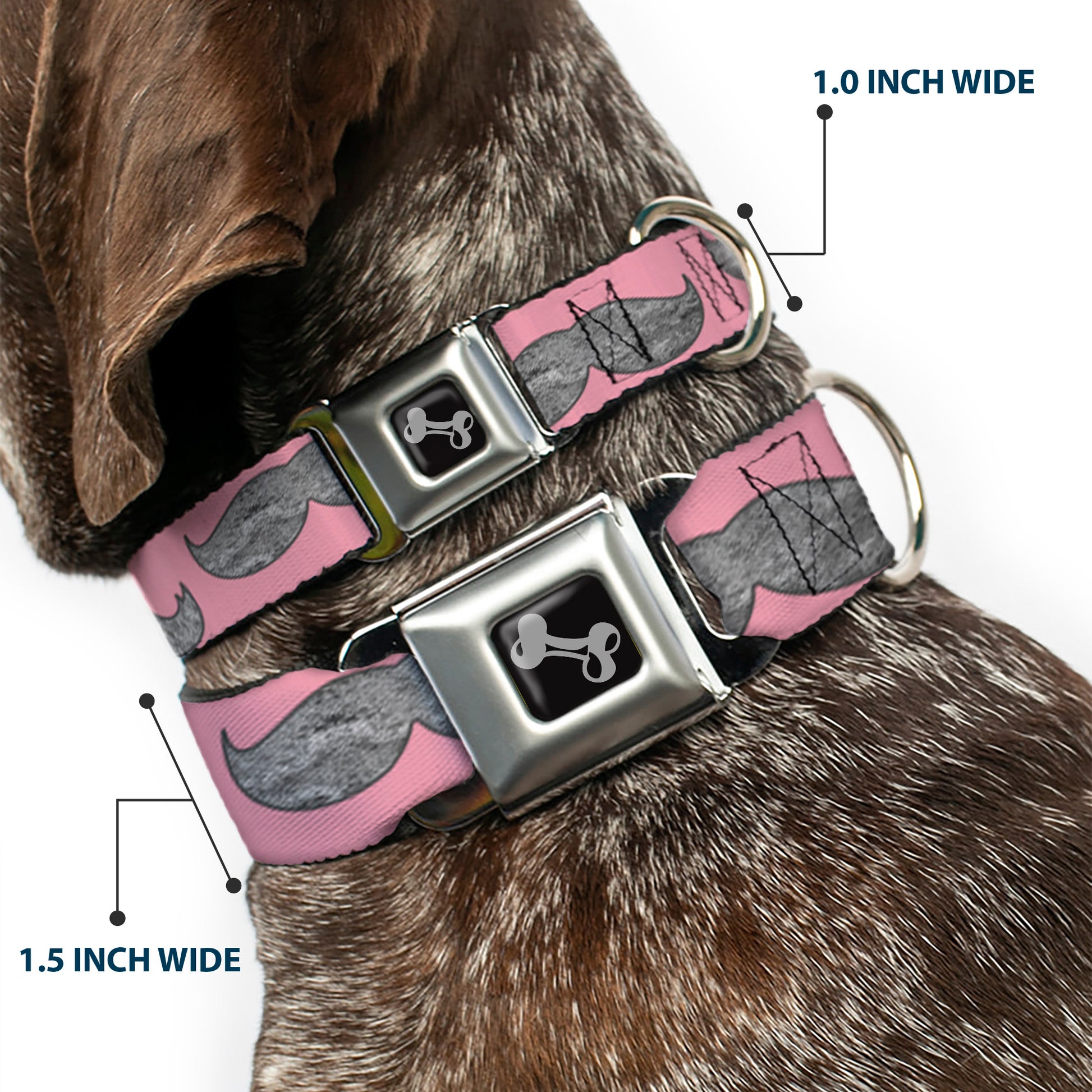 Dog Bone Seatbelt Buckle Collar - Mustaches Pink/Sketch Seatbelt Buckle Collars Buckle-Down