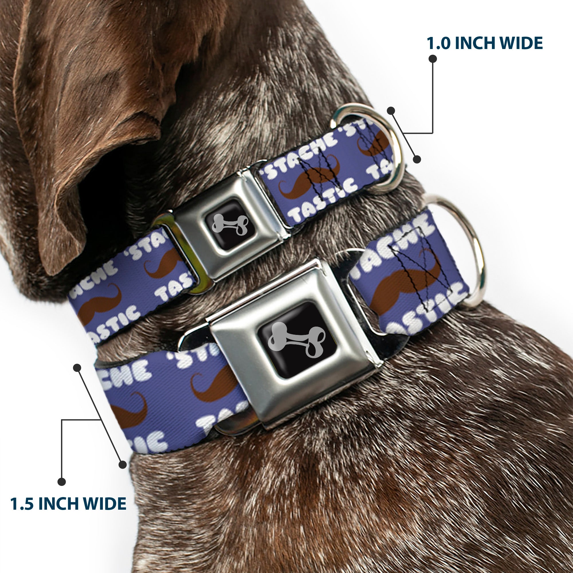 Dog Bone Seatbelt Buckle Collar - Mustache 'Stache-Tastic Seatbelt Buckle Collars Buckle-Down