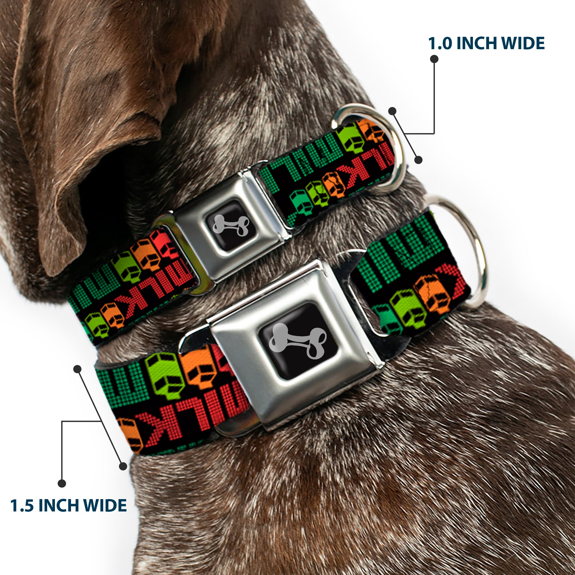 Dog Bone Seatbelt Buckle Collar - MILK/Cartoons Black/Multi Color Seatbelt Buckle Collars Buckle-Down