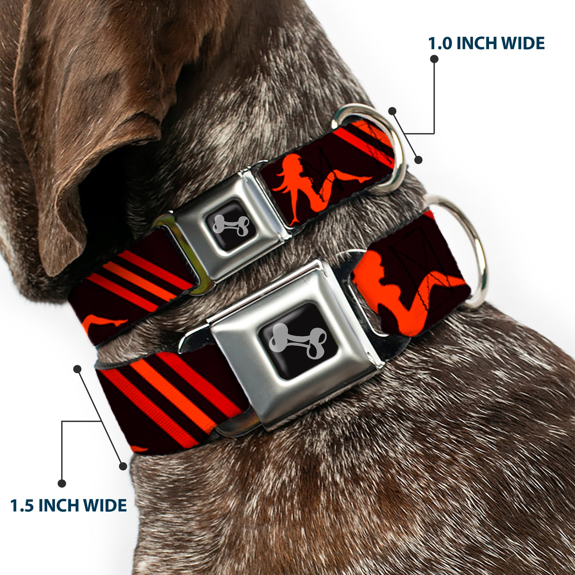 Dog Bone Seatbelt Buckle Collar - Mud Flap Girls w/Stripes Black/Red/Orange Seatbelt Buckle Collars Buckle-Down