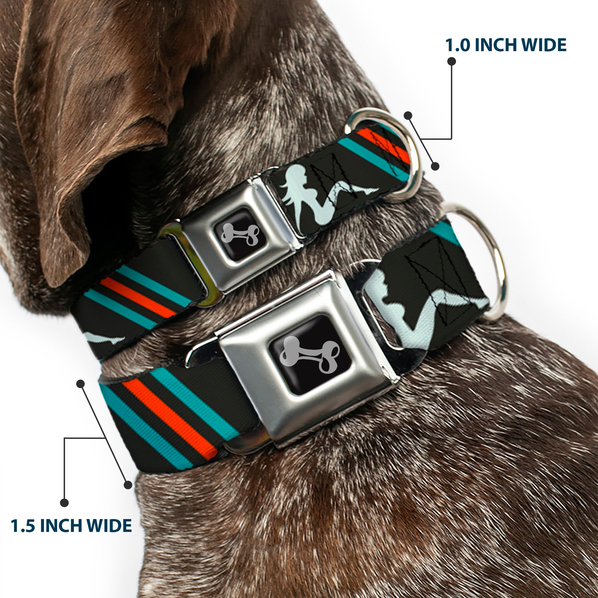Dog Bone Seatbelt Buckle Collar - Mud Flap Girls w/Stripes Gray/Turquoise/Orange Seatbelt Buckle Collars Buckle-Down