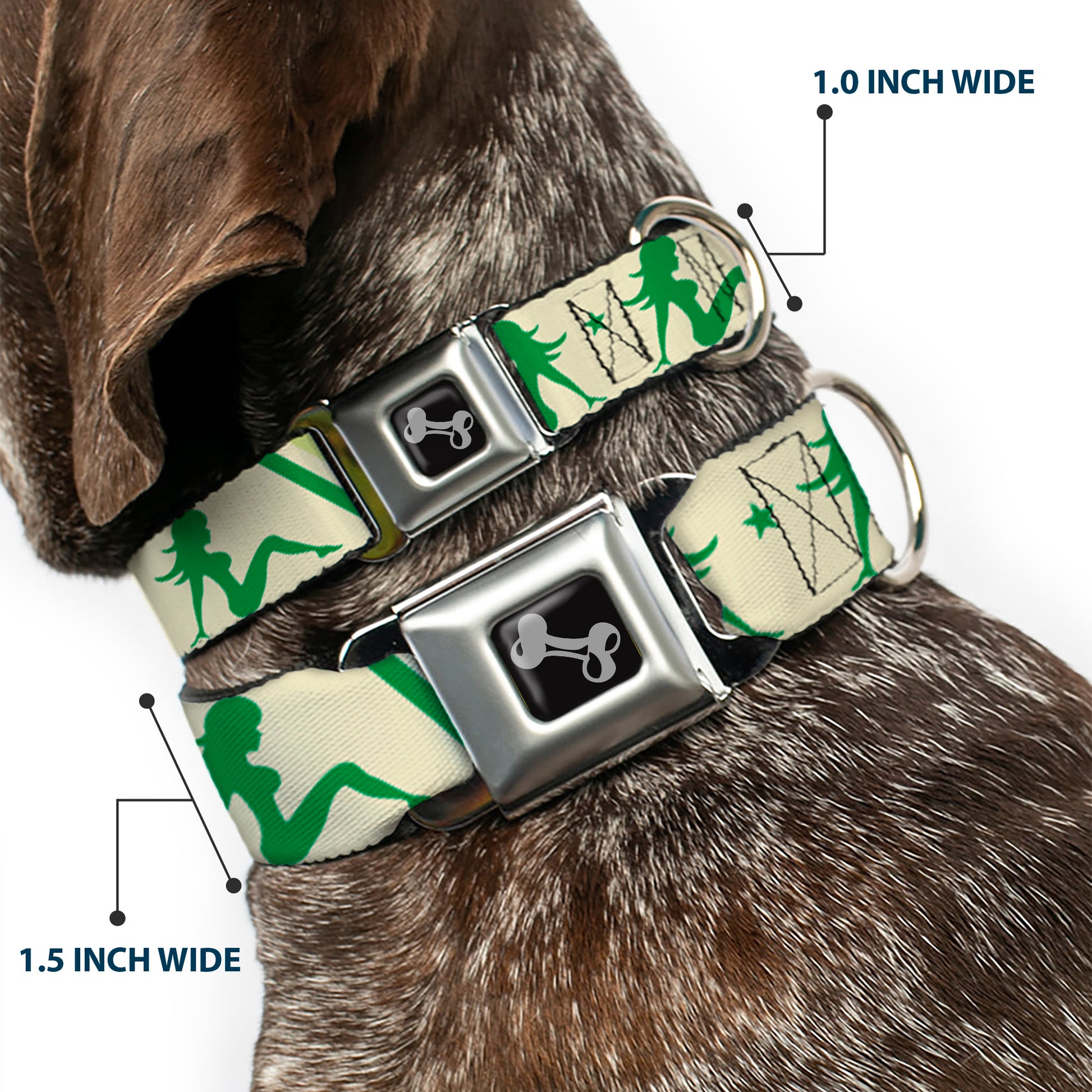 Dog Bone Seatbelt Buckle Collar - Mud Flap Girls w/Stripes Tan/Green/Lime Green Seatbelt Buckle Collars Buckle-Down