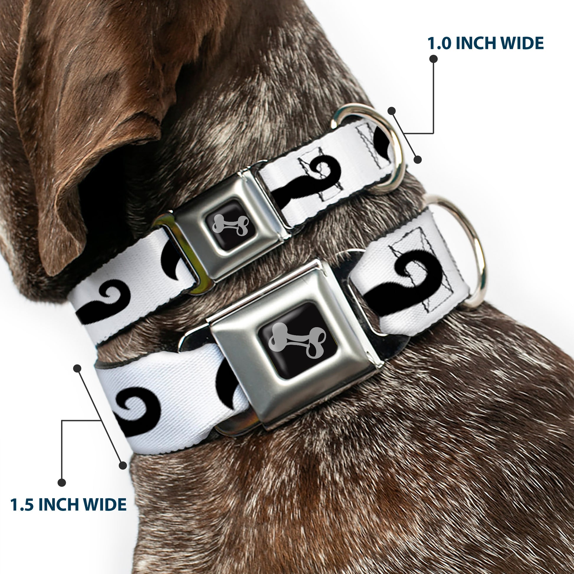 Dog Bone Seatbelt Buckle Collar - Mustaches Straight White/Black Seatbelt Buckle Collars Buckle-Down