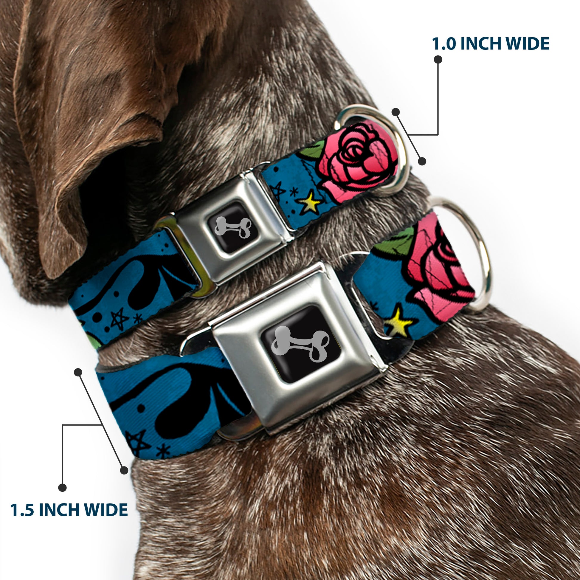 Dog Bone Seatbelt Buckle Collar - Mom & Dad CLOSE-UP Blue w/Sparrows Seatbelt Buckle Collars Buckle-Down