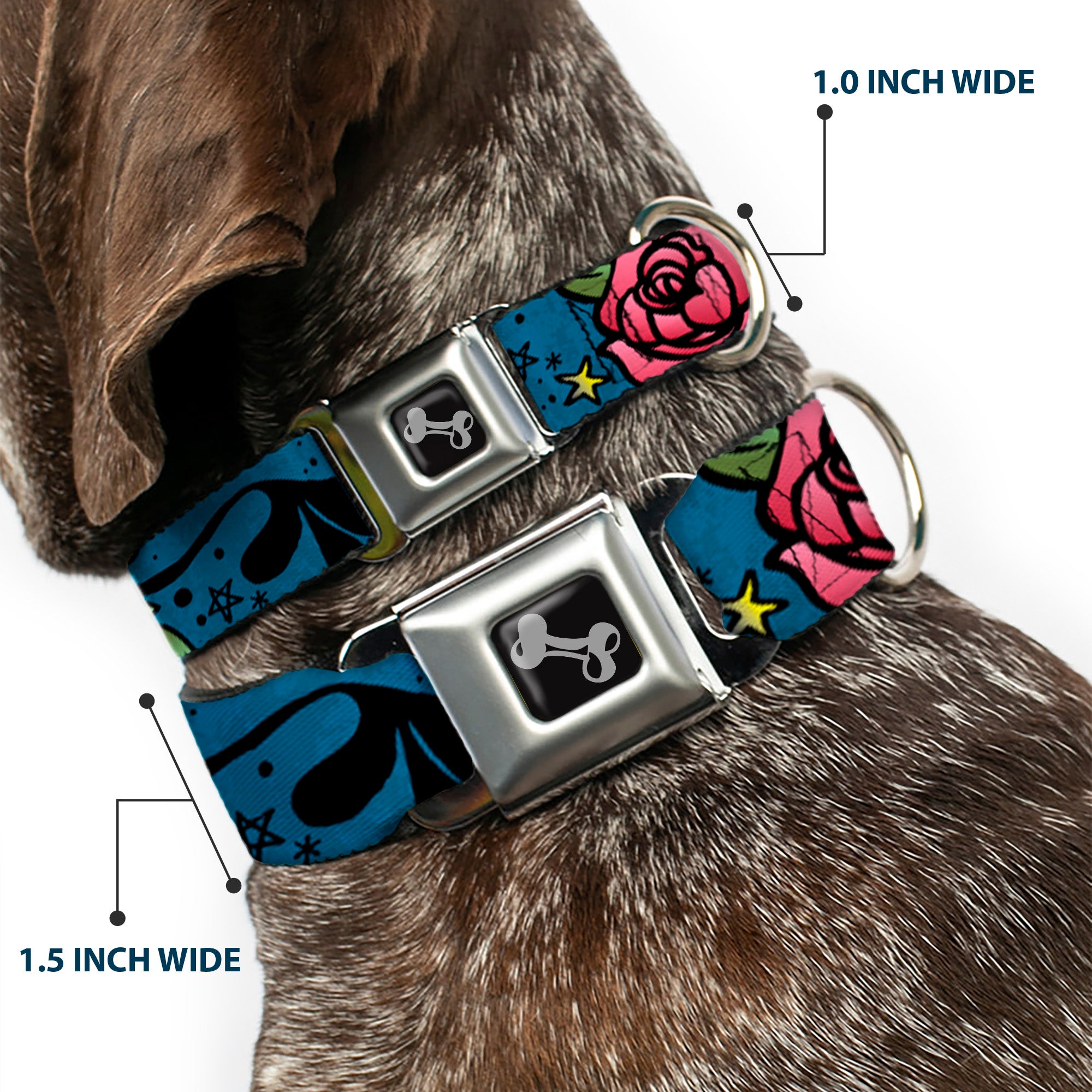 Dog Bone Seatbelt Buckle Collar - Mom & Dad CLOSE-UP Blue w/Sparrows Seatbelt Buckle Collars Buckle-Down